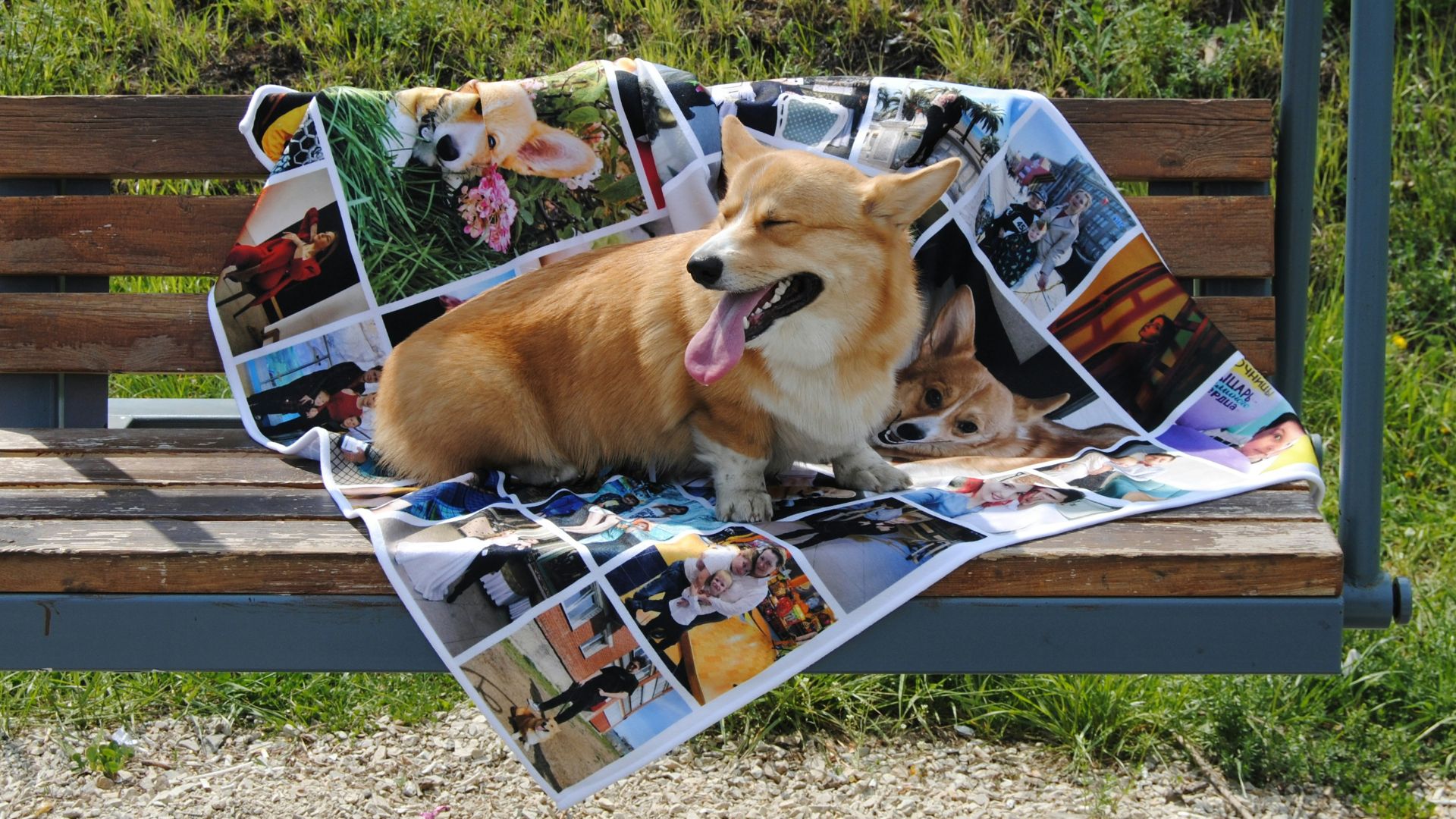a dog laying on a blanket on a bench
