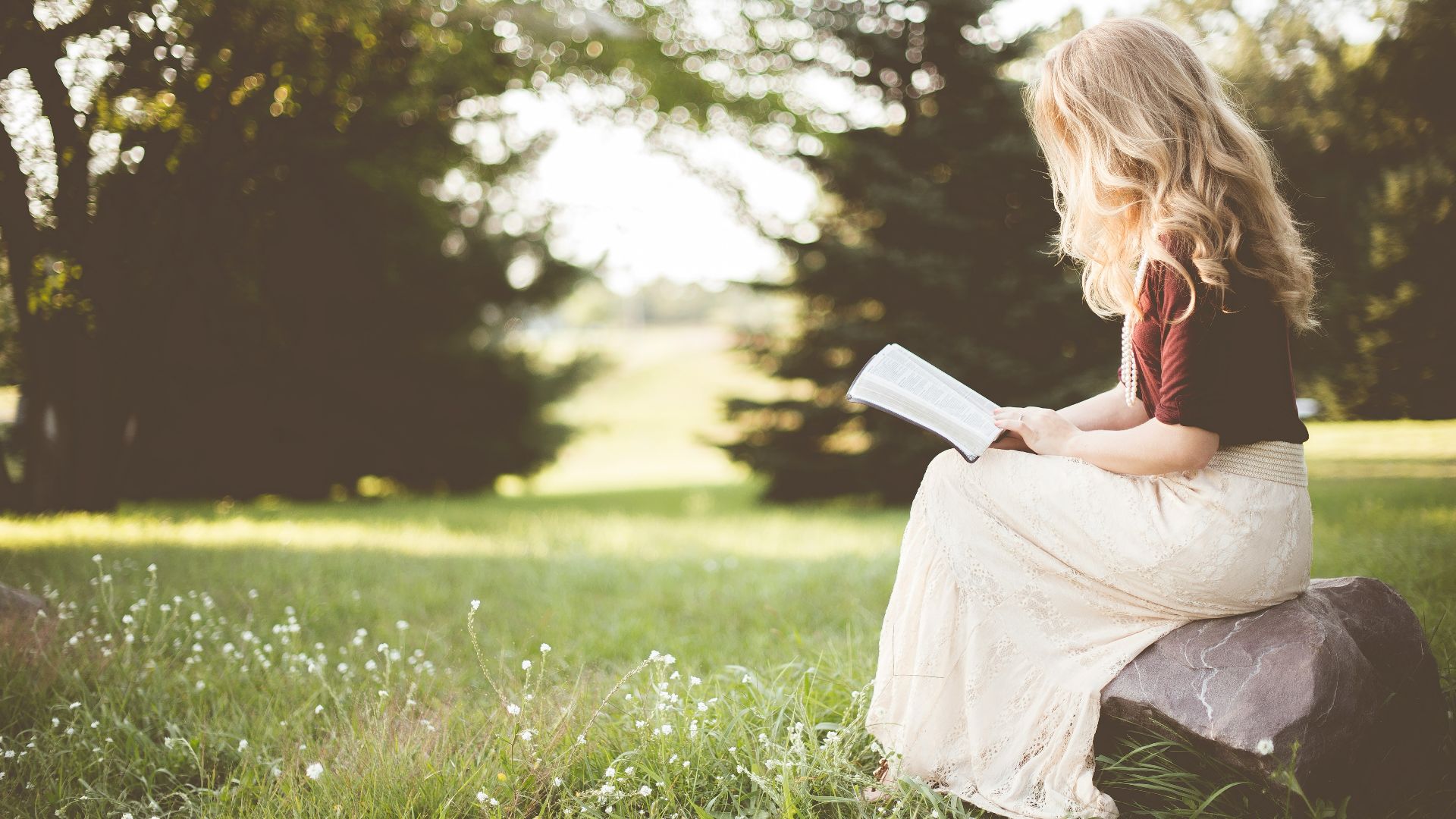 woman sitting while reading book