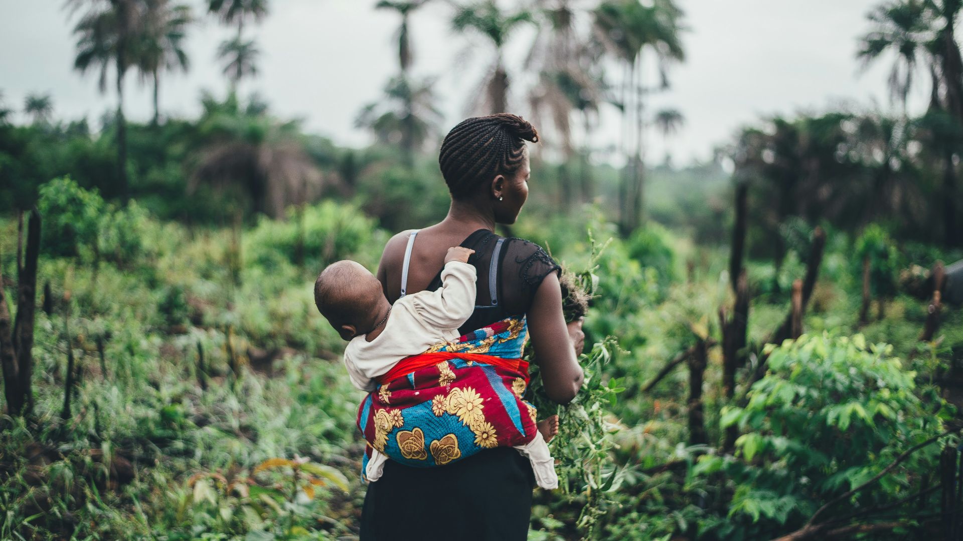 baby clinging on back