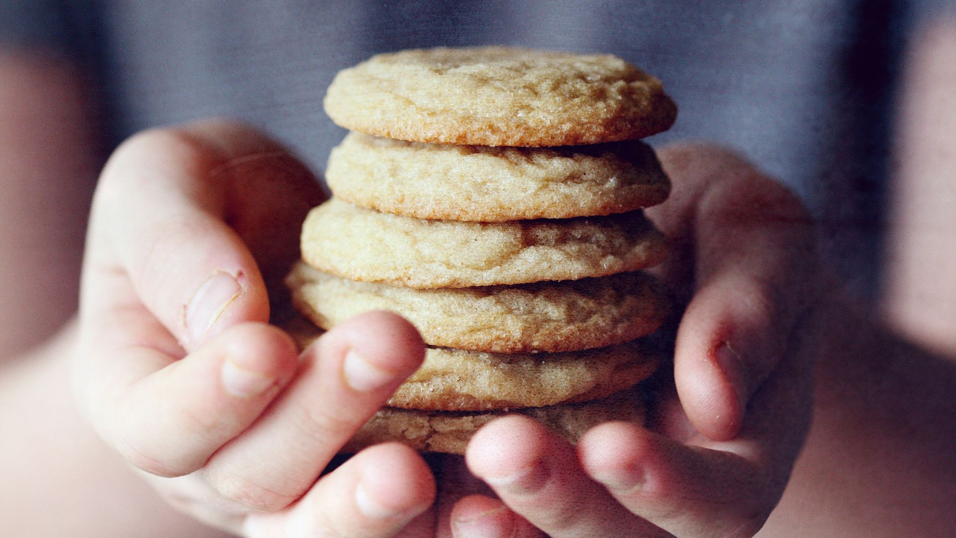 person holding brown cookies in close up photography