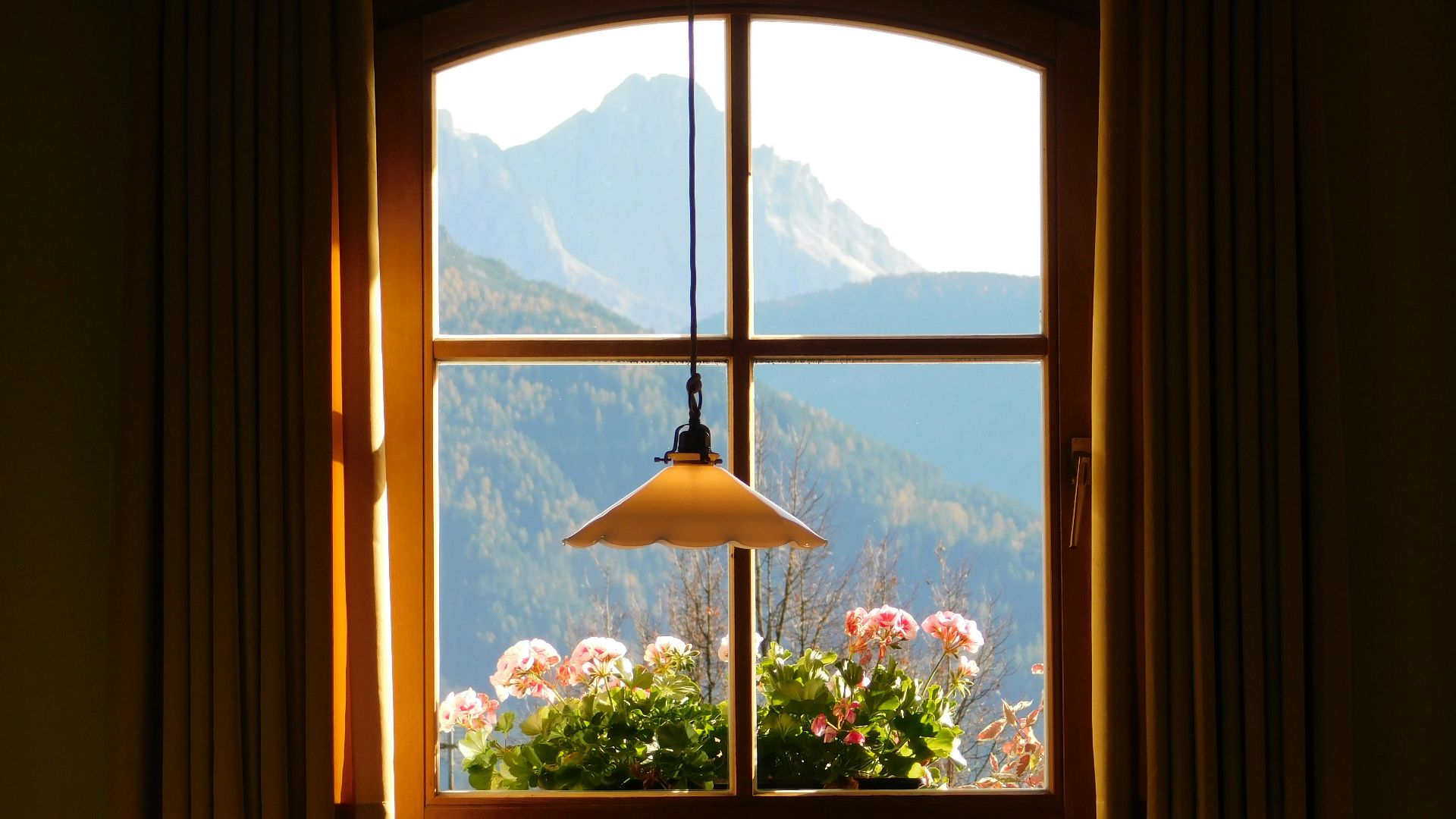 pendant lamp in front of window