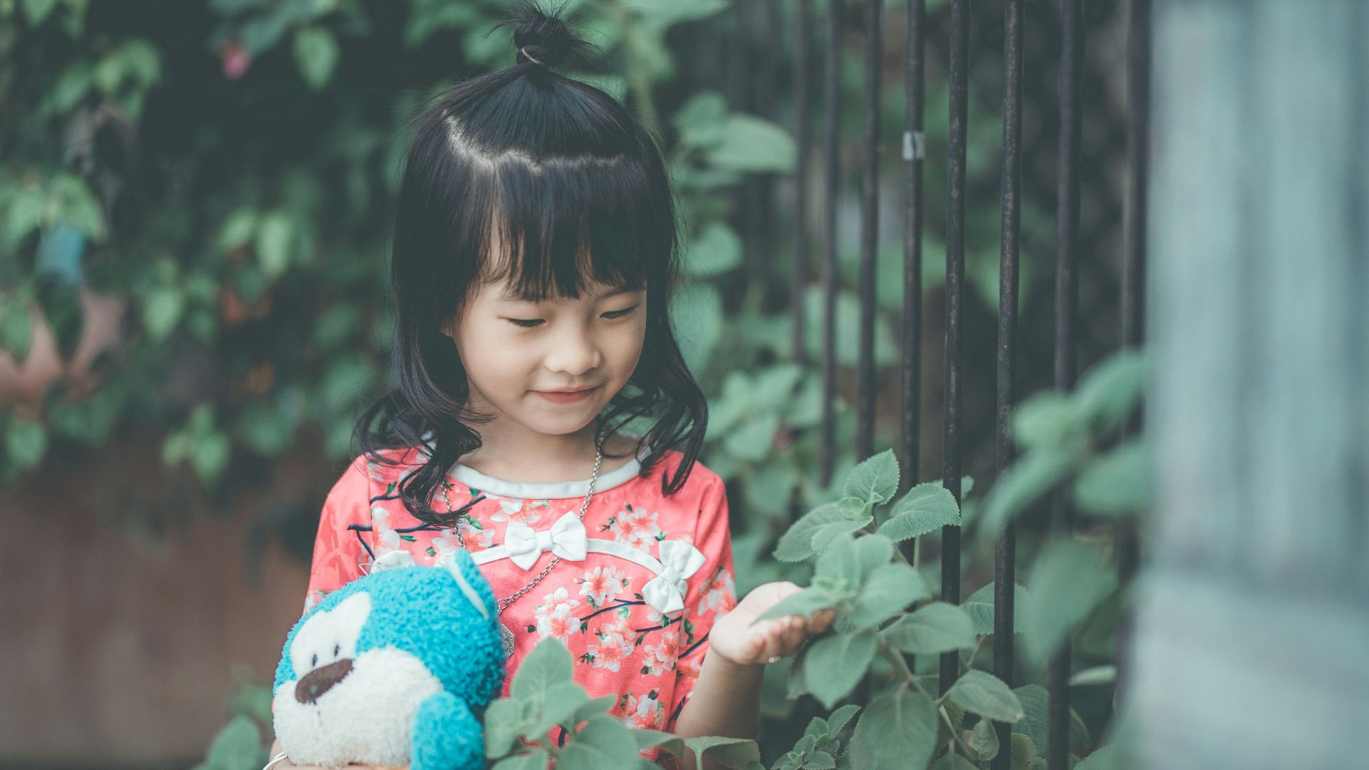 toddler girl holding leaf and plush toy near fence during daytime