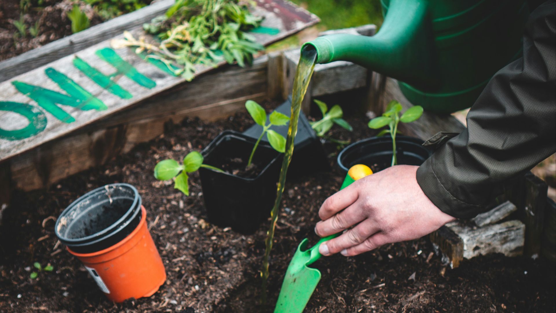 person holding green plastic shovel