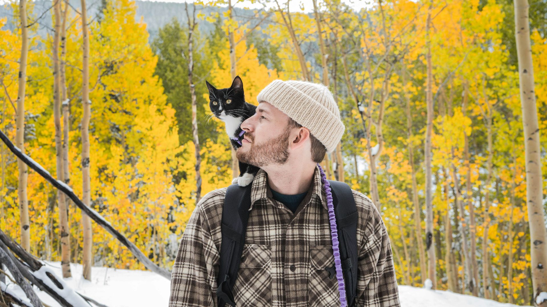 man in white hat and plaid shirt with black and white cat on his head