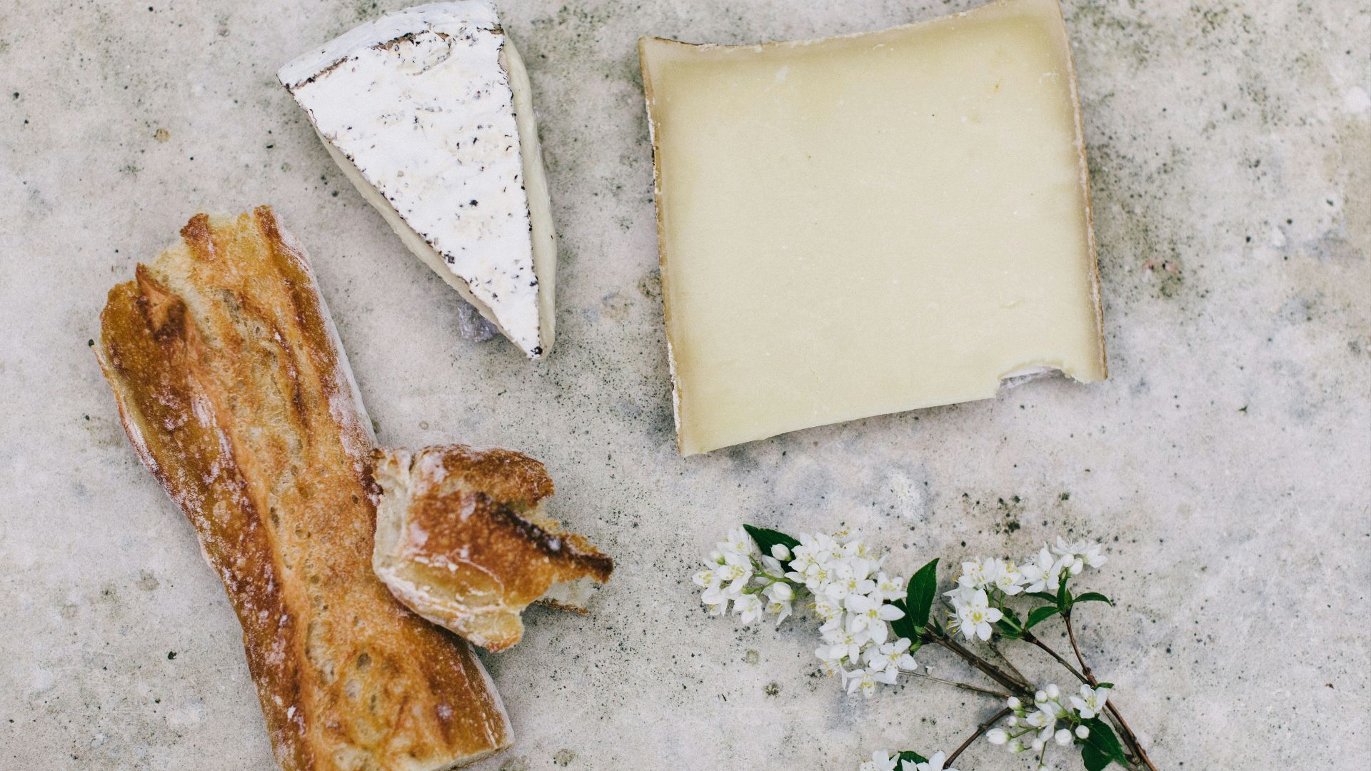 sliced wood beside white petaled flower