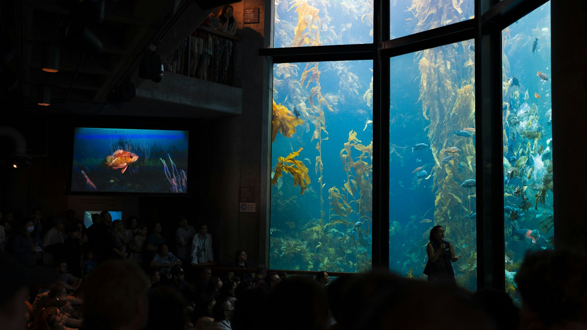A large aquarium filled with lots of fish