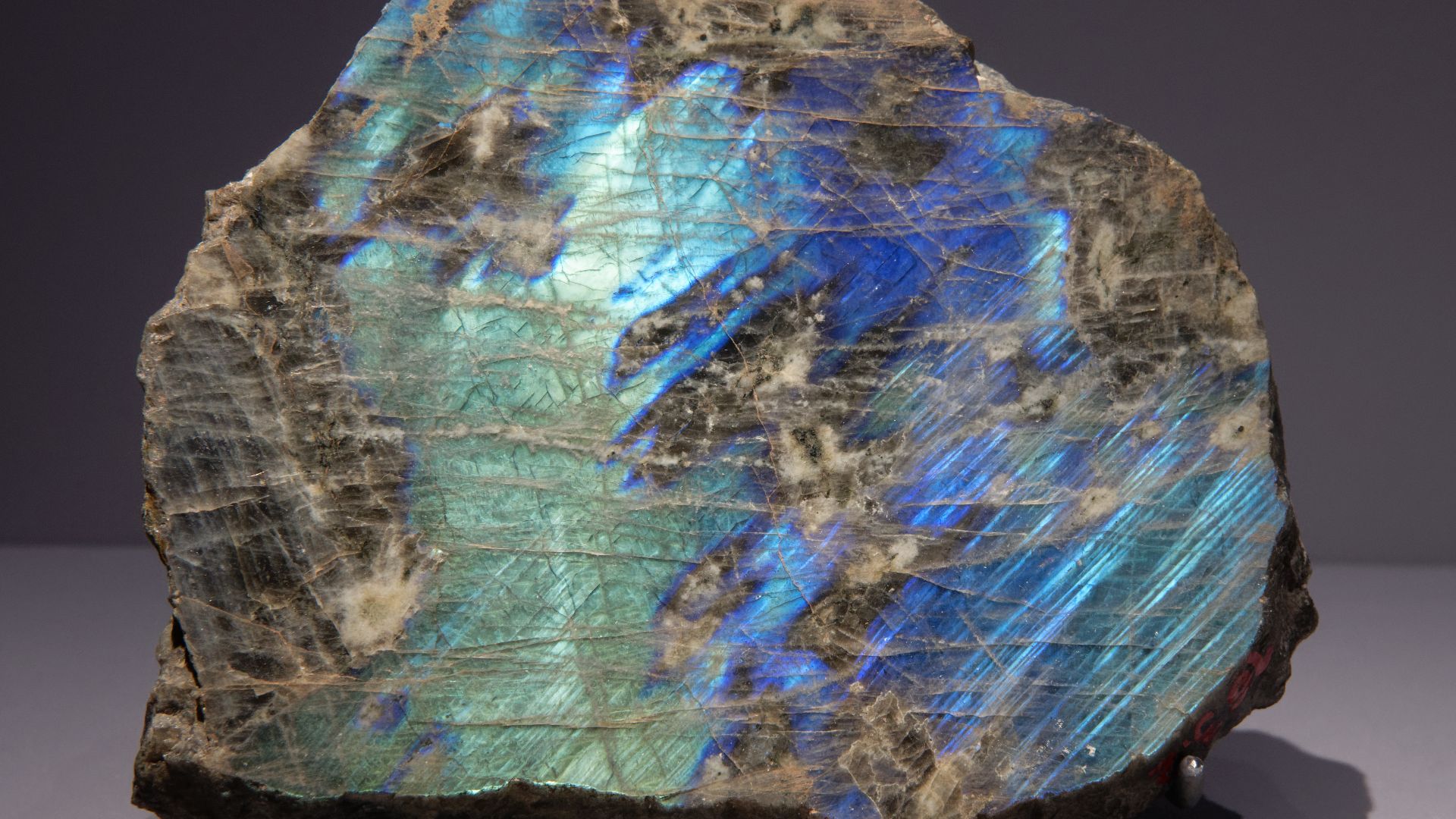 File:Labradorite Labrador MNHN Minéralogie.jpg