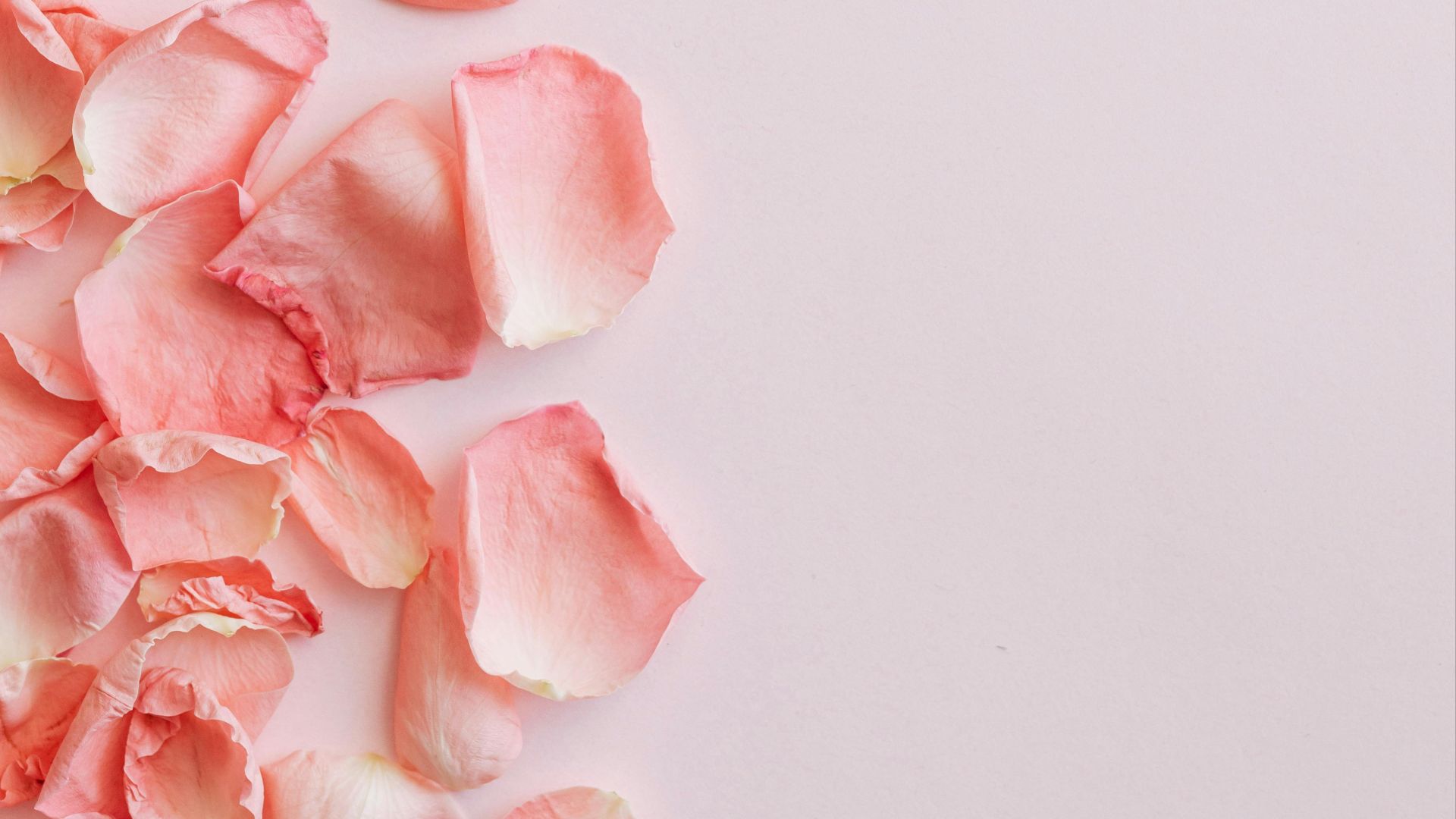 Photo By: Kaboompics.com