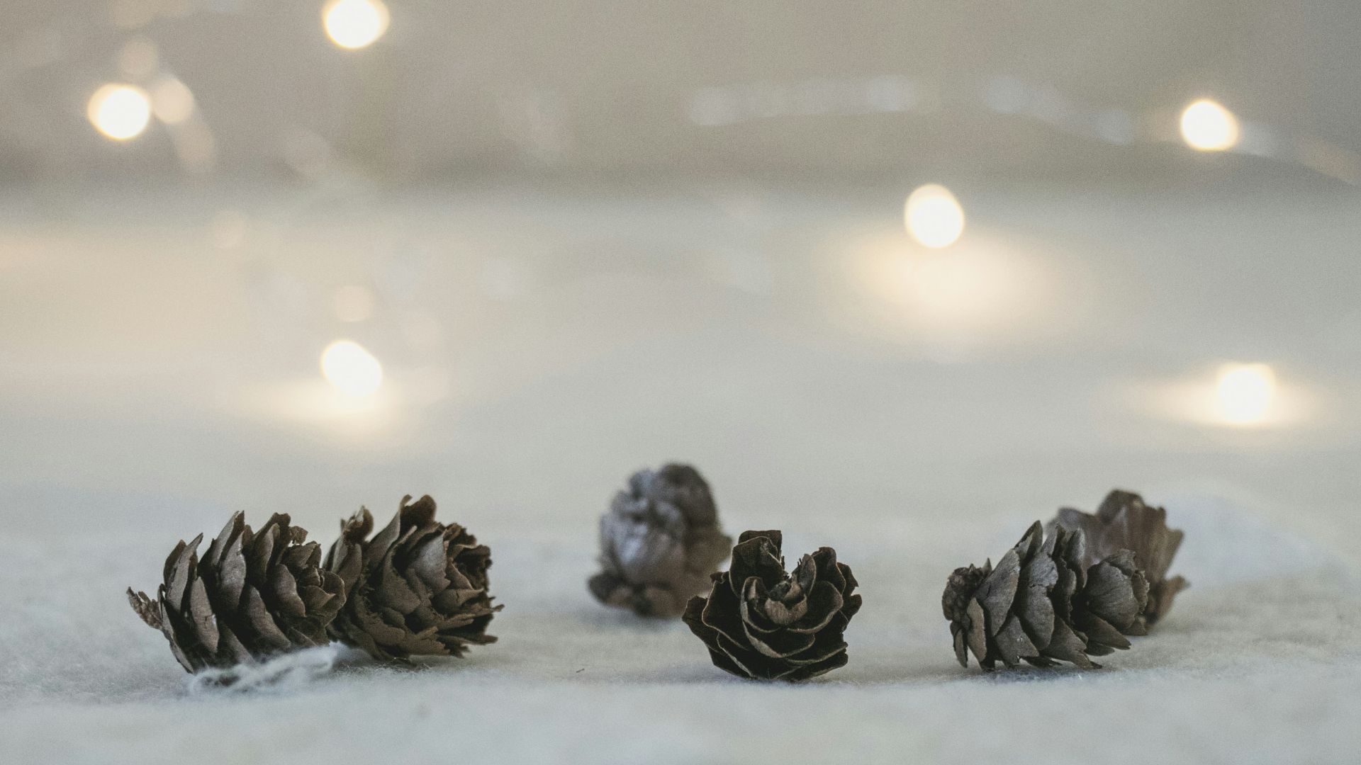 brown flowers on white surface