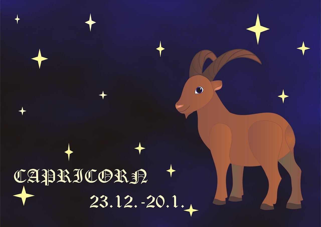 Capricorn-1505267 1280