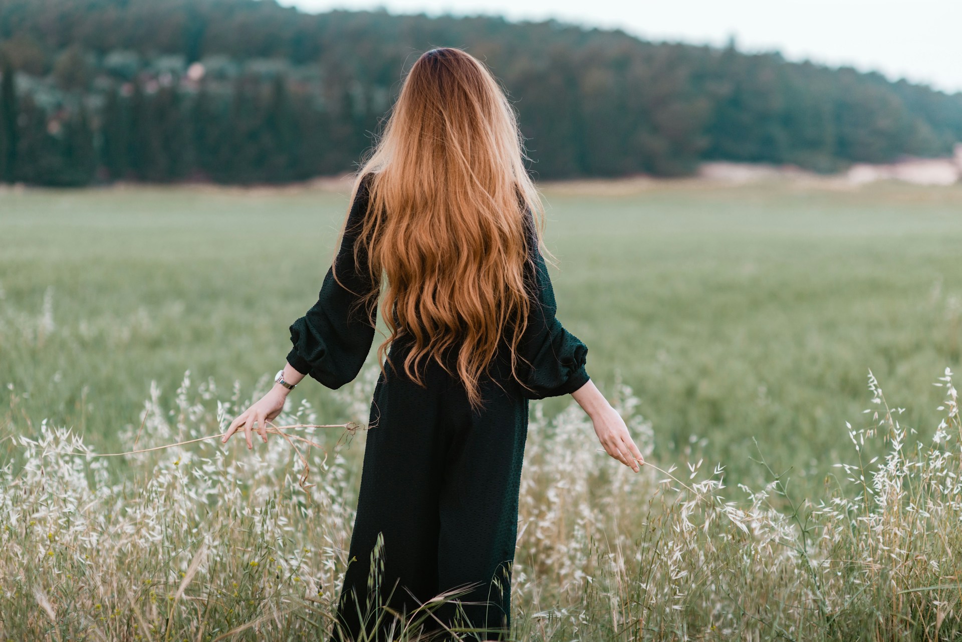 Rana-Sawalha-Mohyuehhp3C-Unsplash