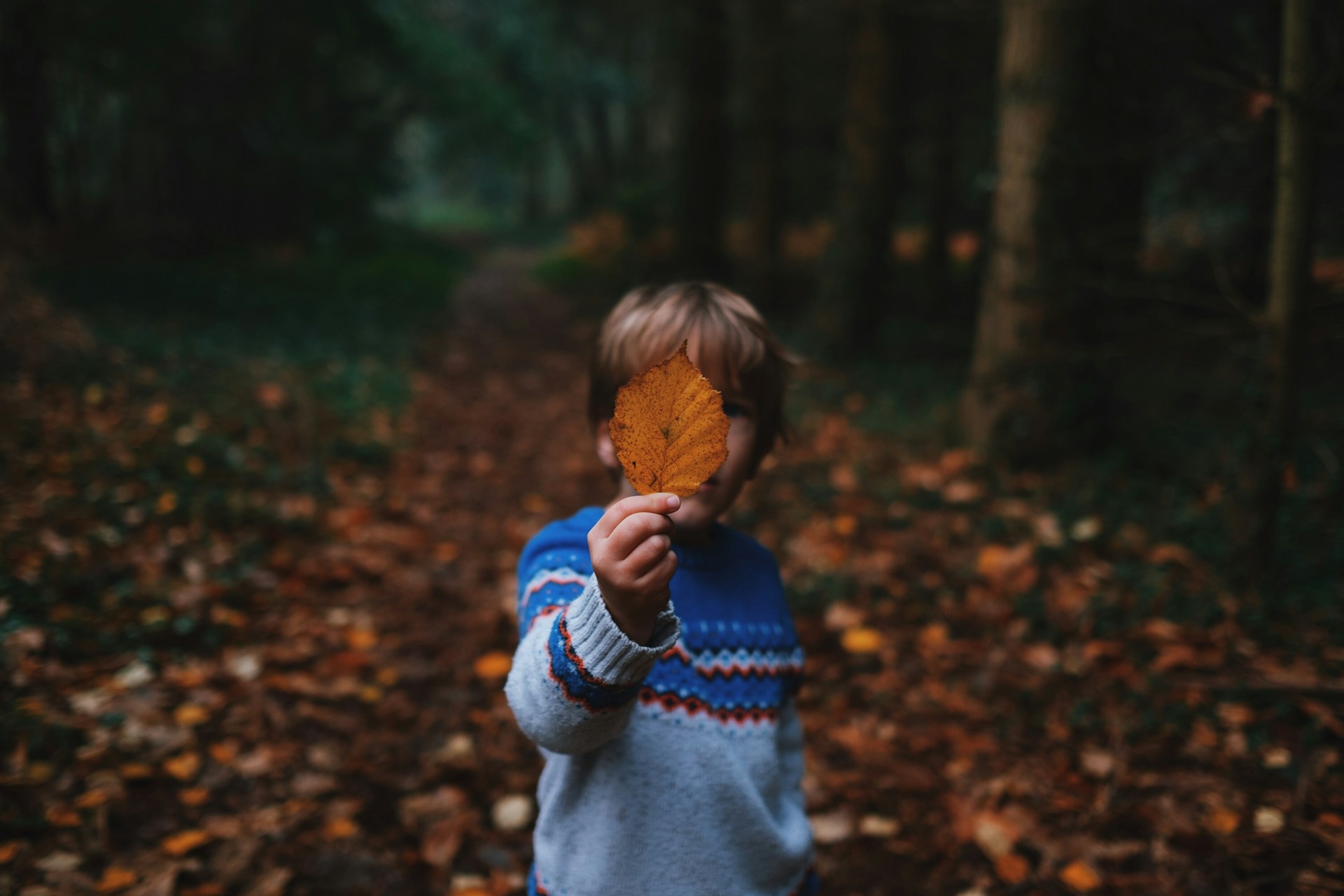 Annie-Spratt-Pp2Xolks5Jg-Unsplash