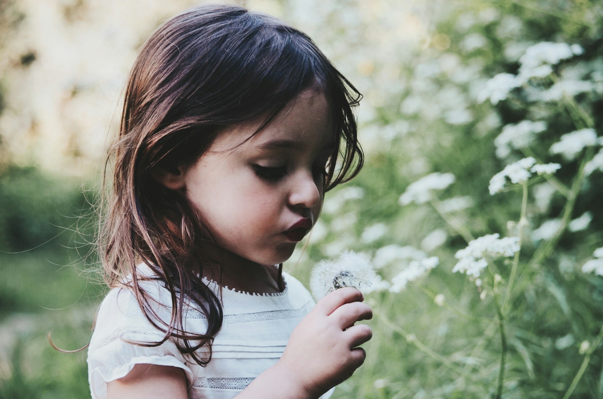 Caroline-Hernandez-G5Njilfgyy8-Unsplash