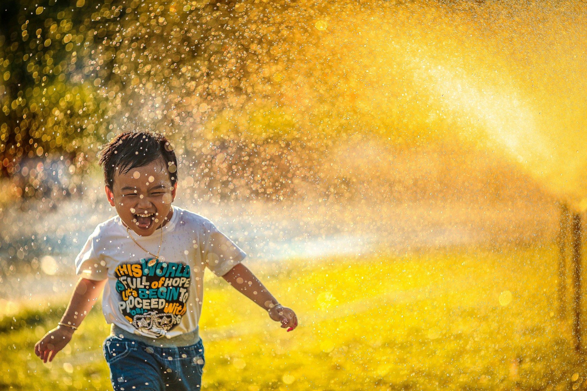 Mi-Pham-Ftzl0R4Dzyk-Unsplash