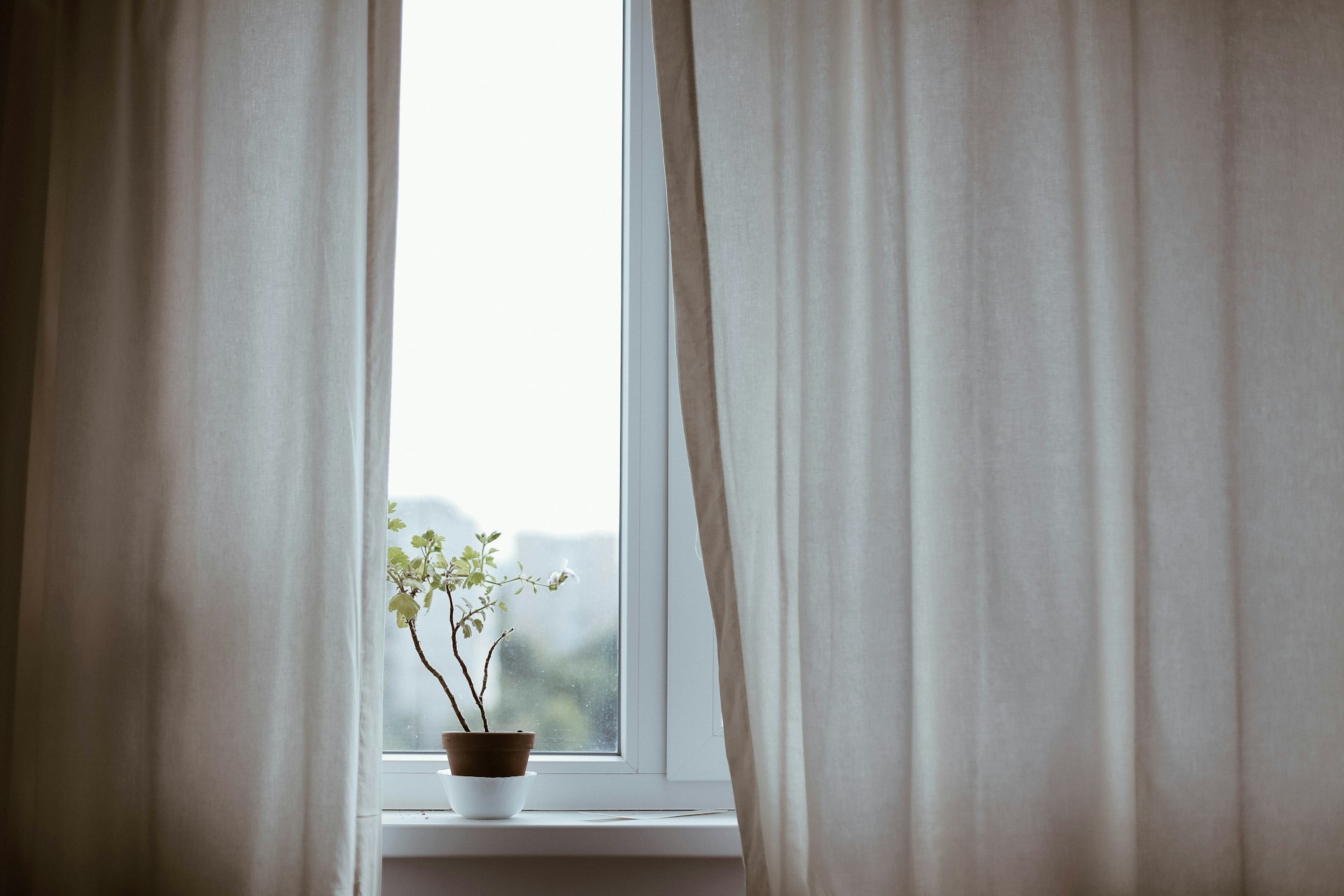 Eduard-Q4Pvx80Itz0-Unsplash