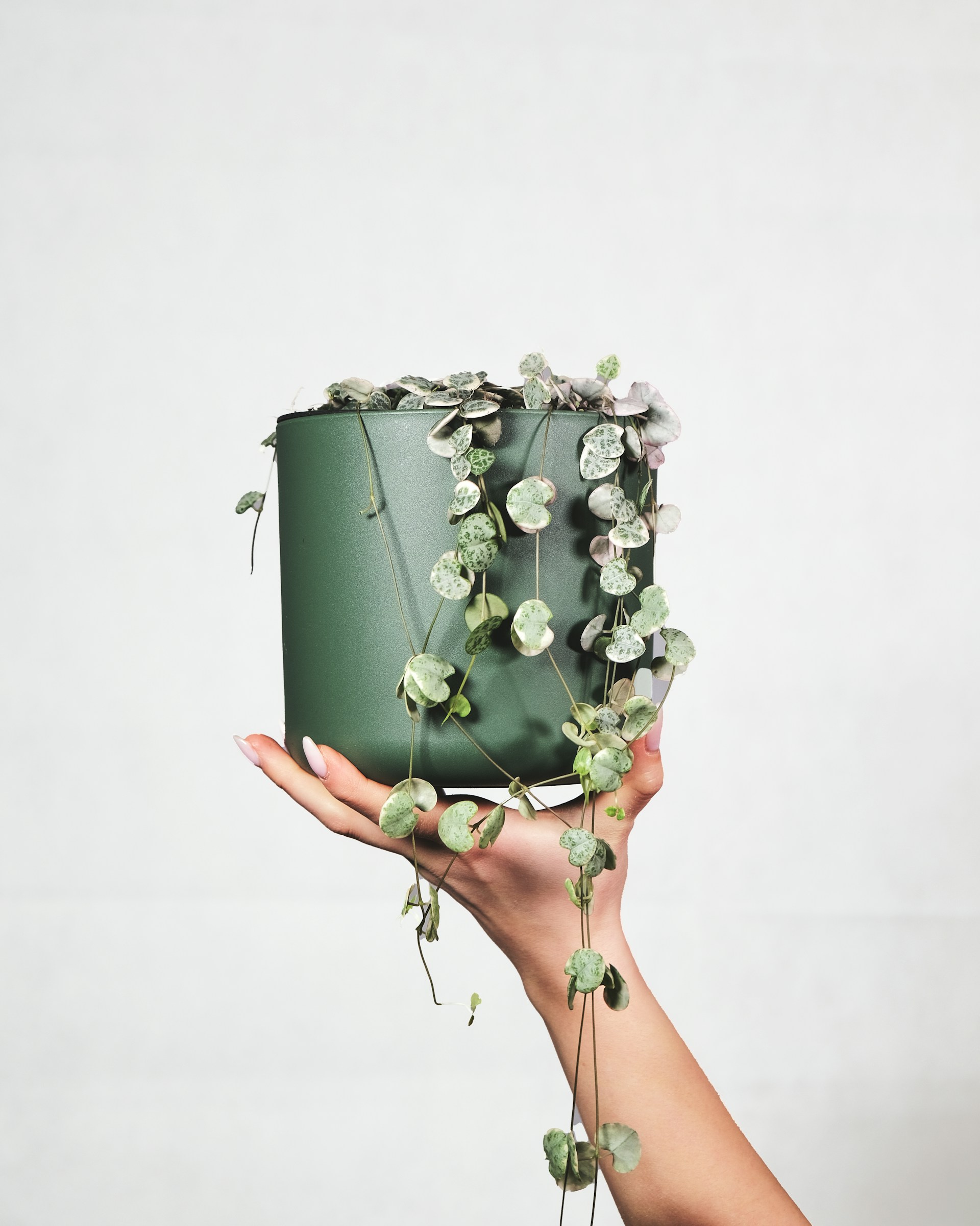 Feey-Sz9Dziufrjs-Unsplash