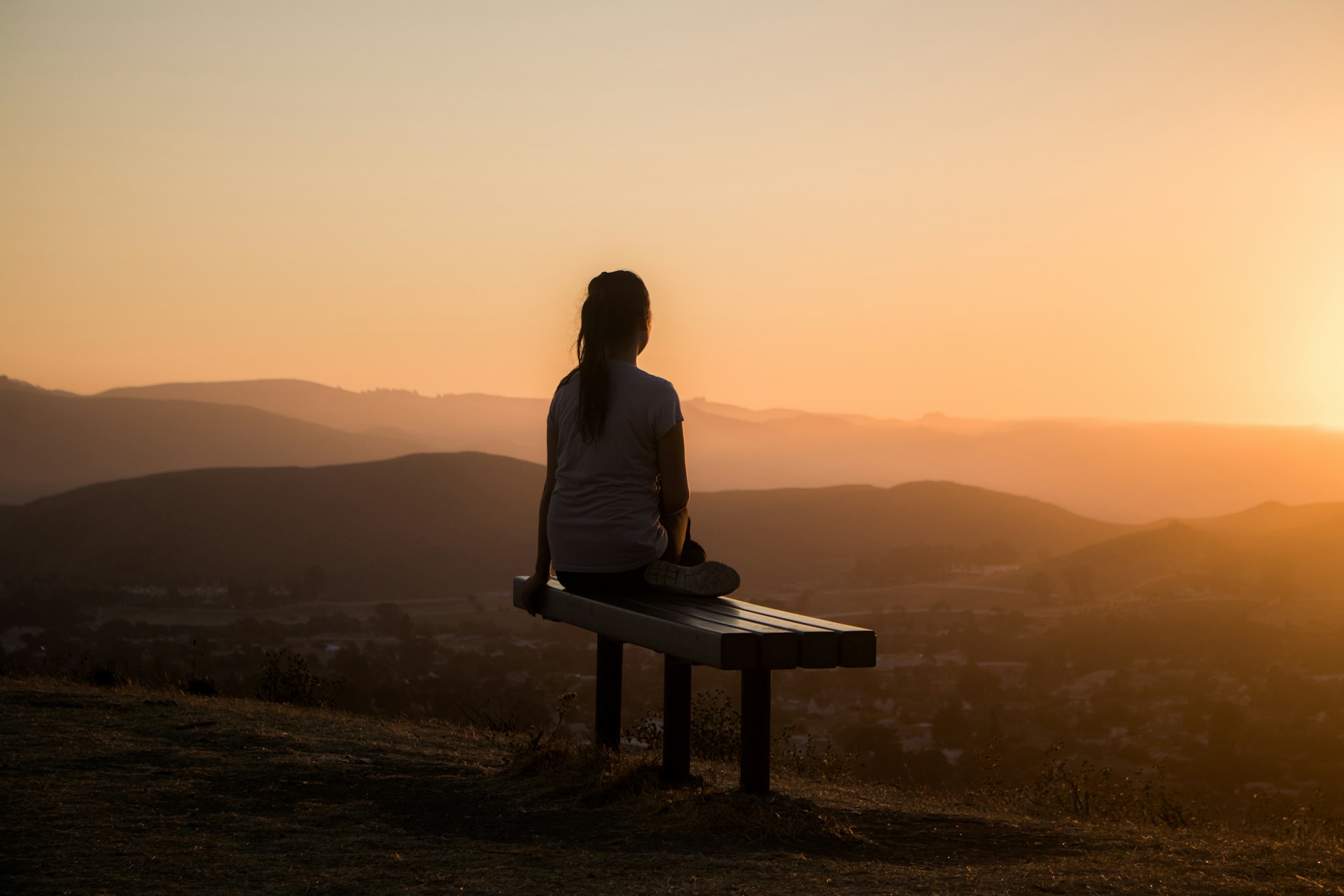 Sage-Friedman-Hs5Clnqbcoc-Unsplash
