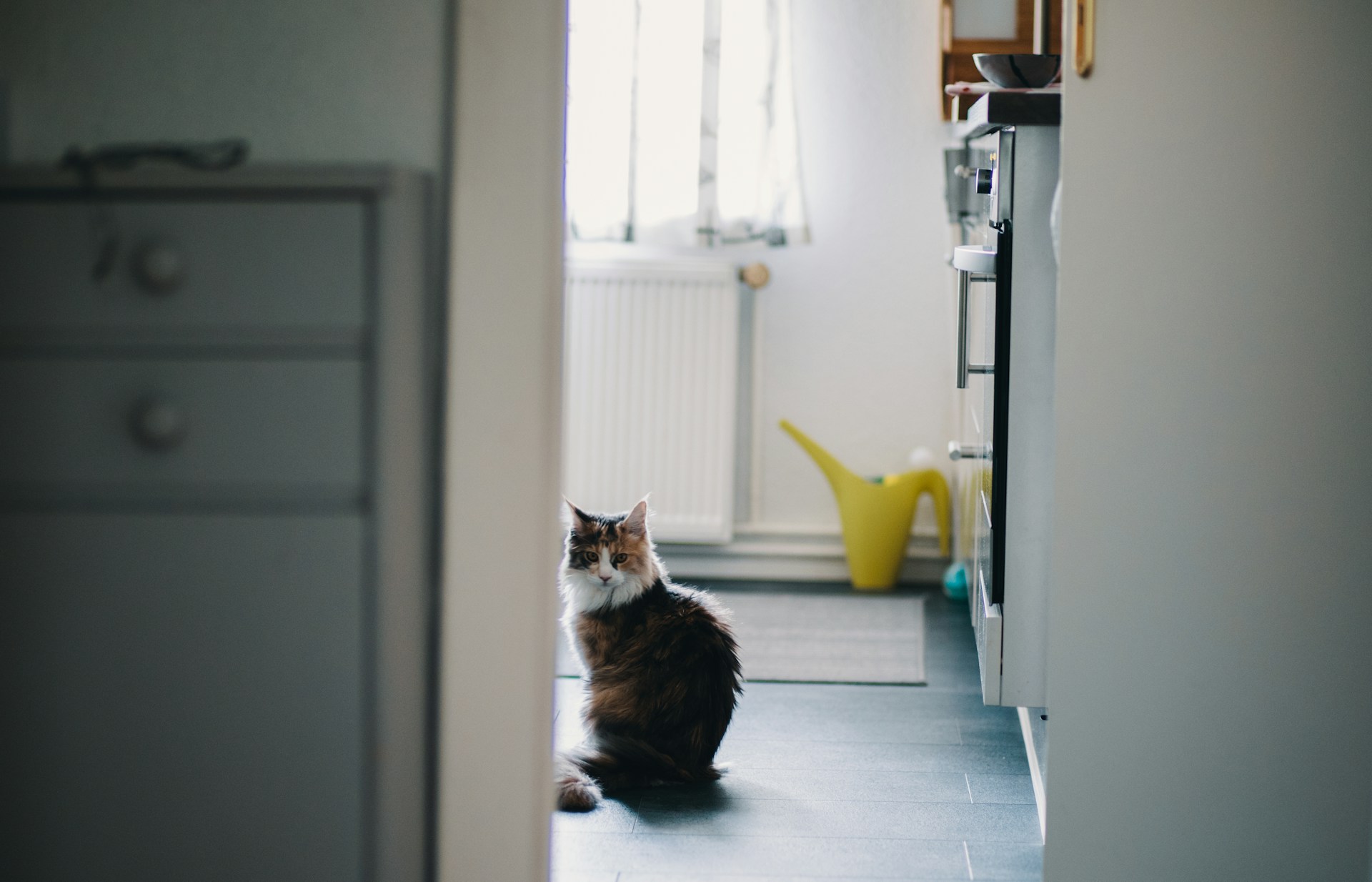 Hector-Bermudez-4Bfnsomm8Z0-Unsplash