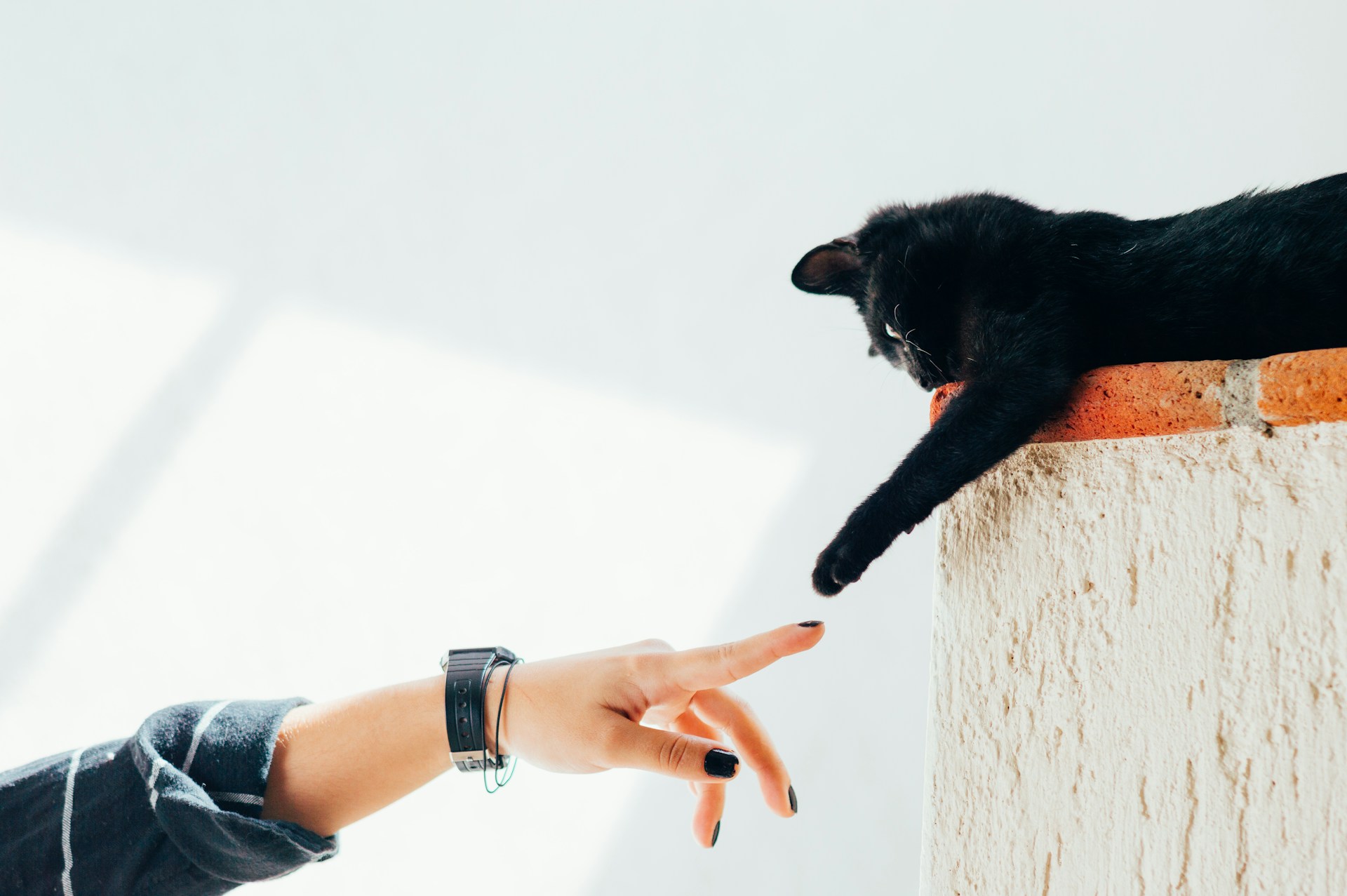 Humberto-Arellano-N G2Sqdy9Qy-Unsplash