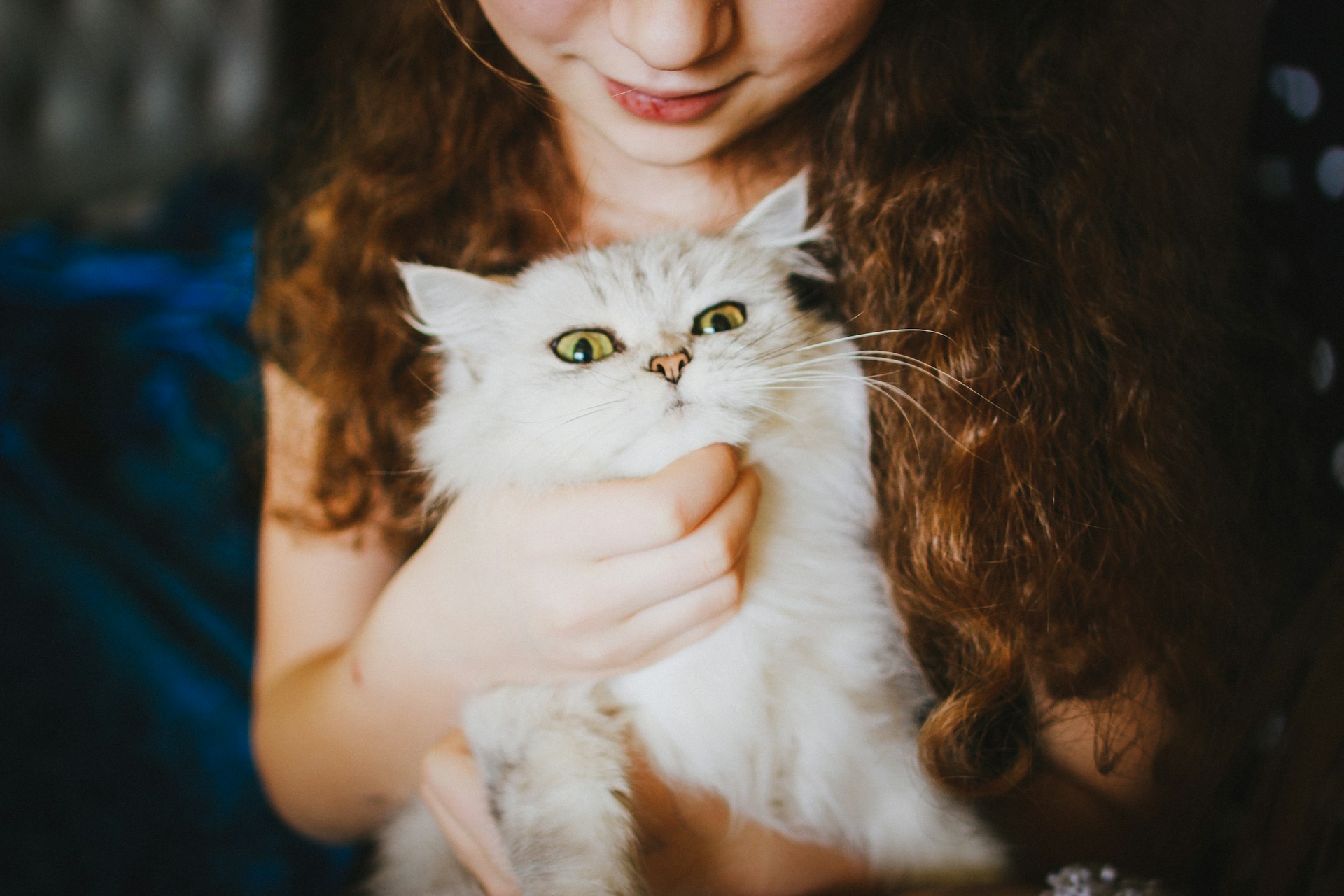 Veronika-Homchis-1Ejz2Xbjjgu-Unsplash