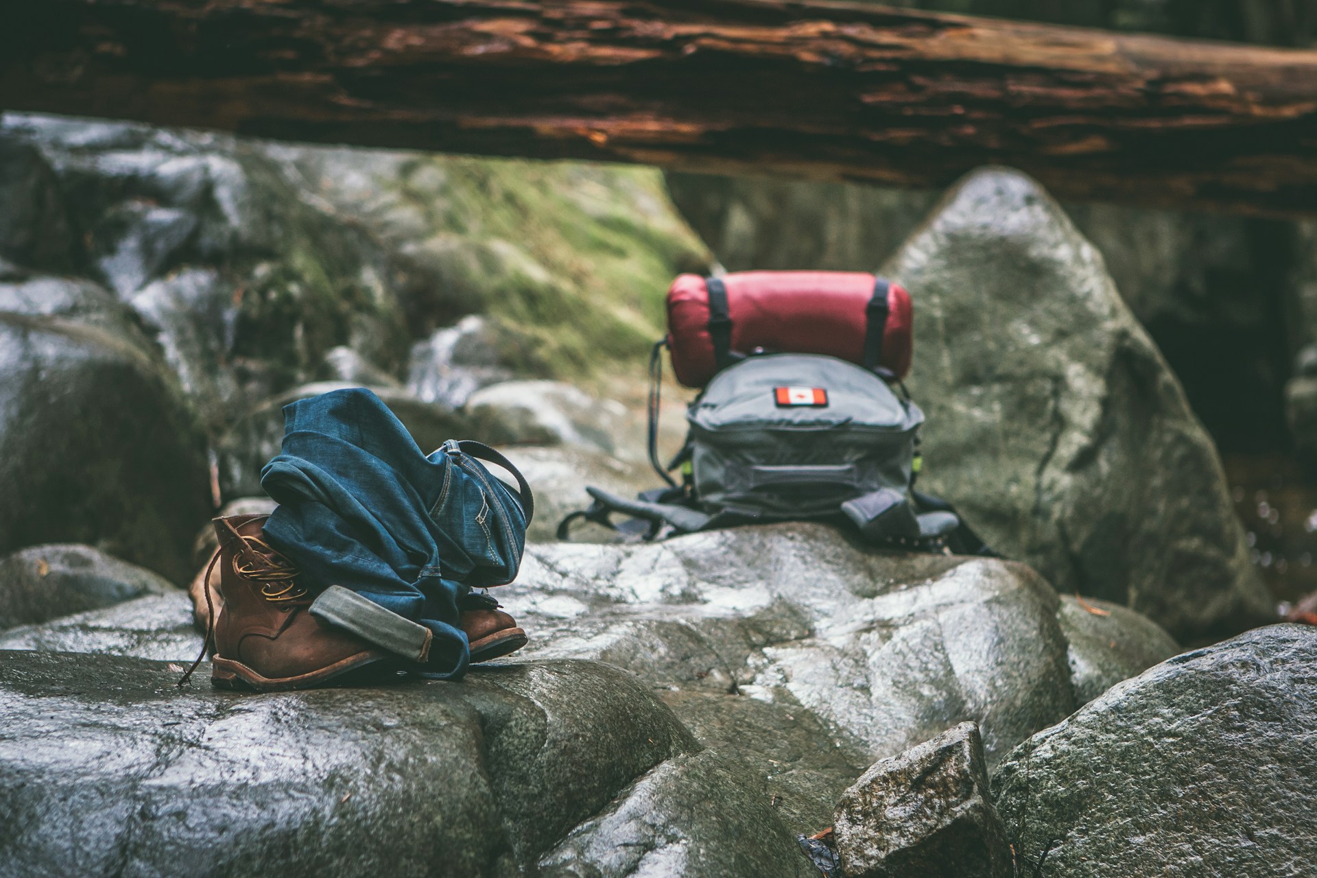 Andrew-Ly-Bql2Krqyue8-Unsplash