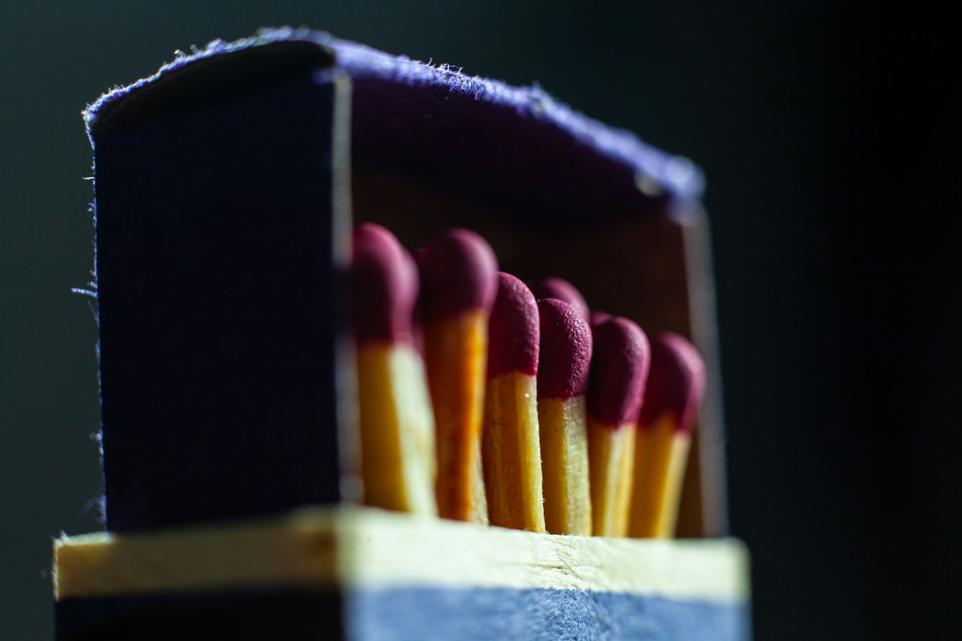 Ian-Talmacs-Nfnmv0Zoxhy-Unsplash