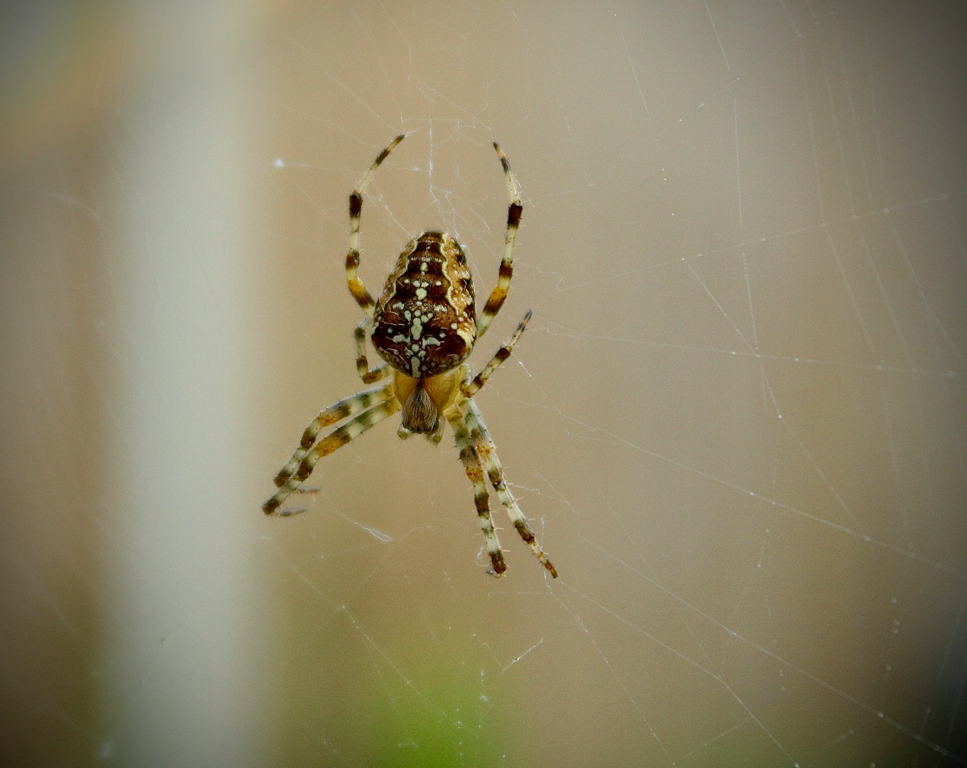 Julia-Fiander-8K6U2Knbtps-Unsplash