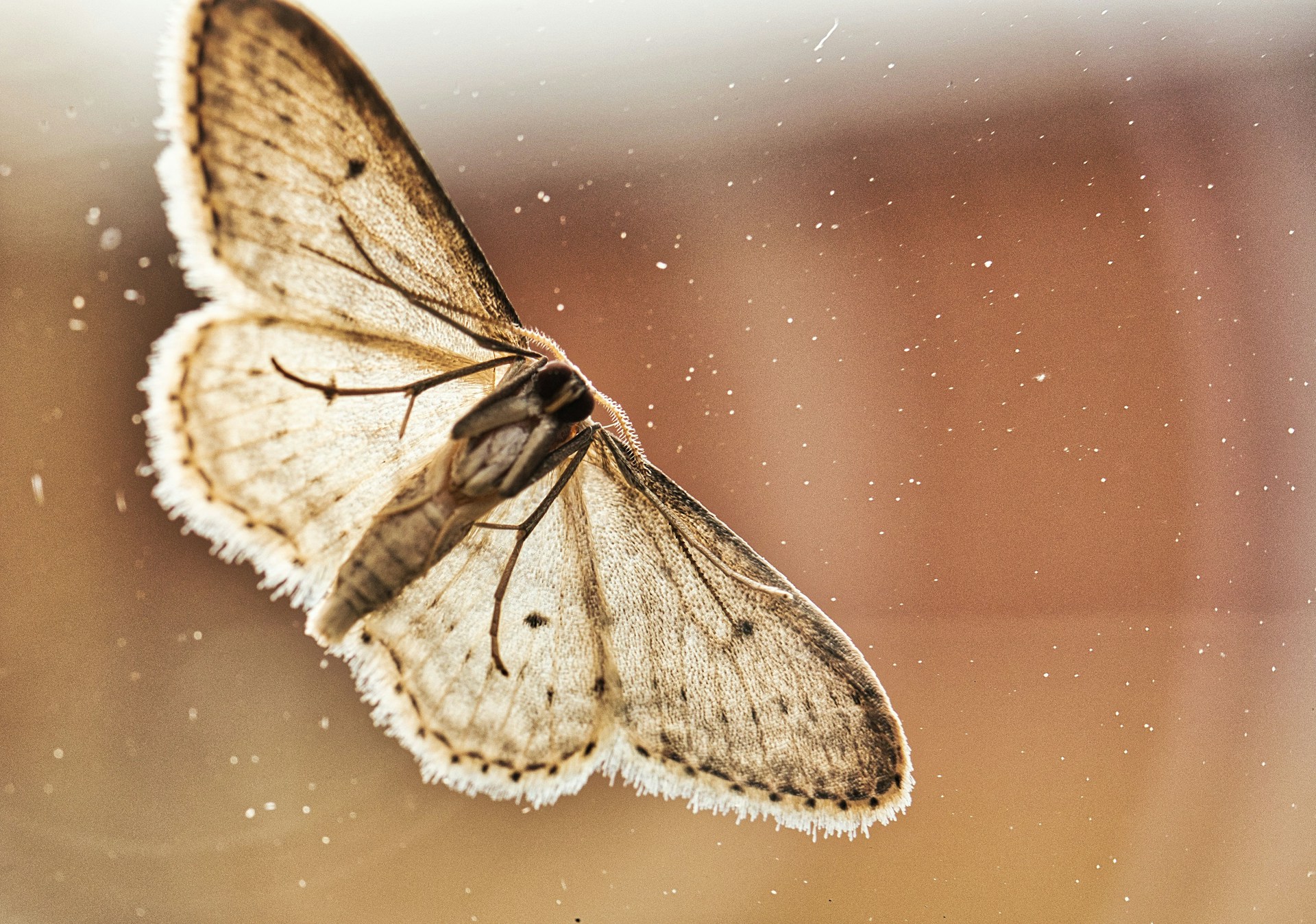 Mikkel-Frimer-Rasmussen-Efuidj0Agby-Unsplash