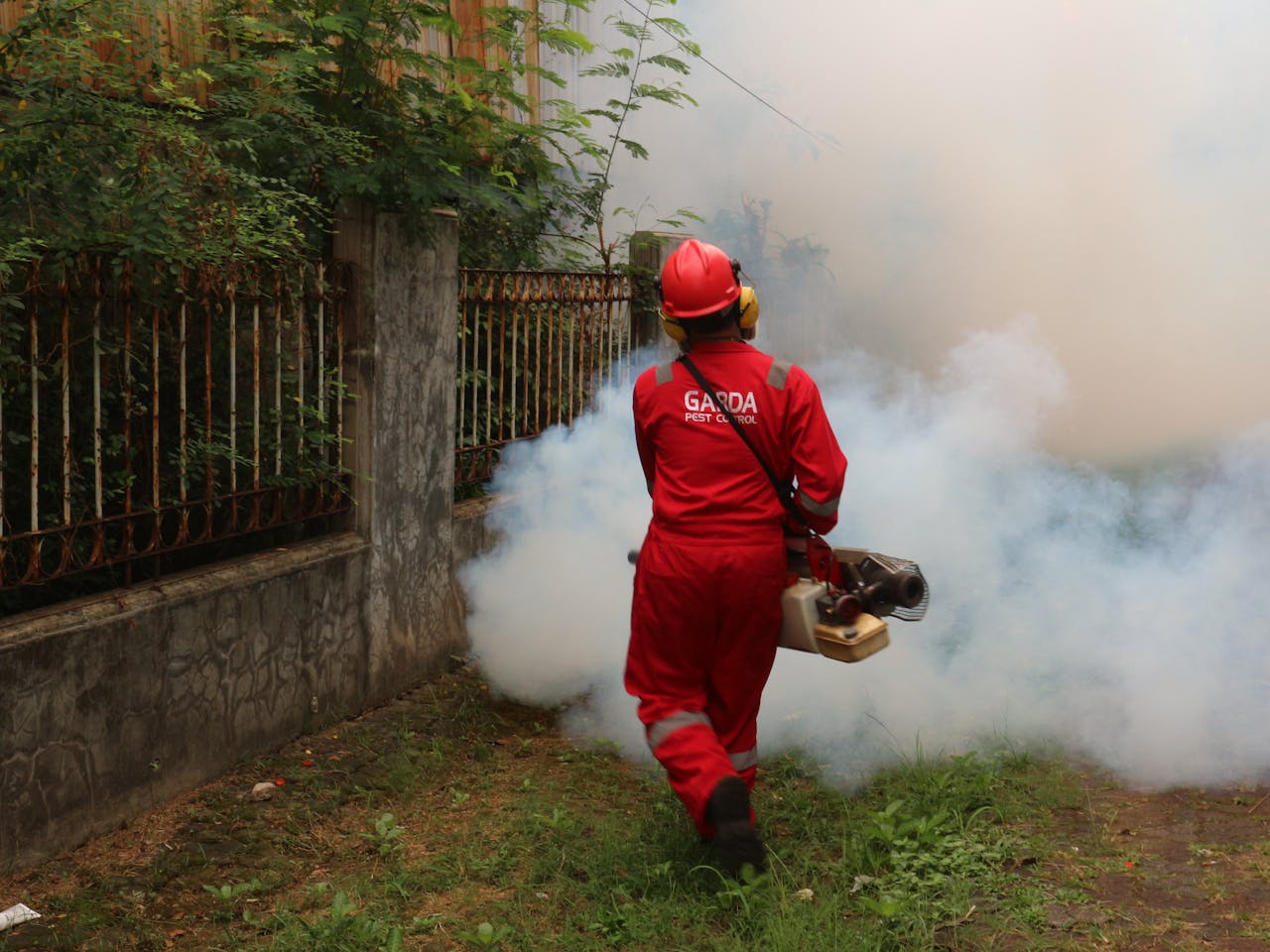 Pexels-Garda-Pest-Control-Indonesia-895947270-19789837