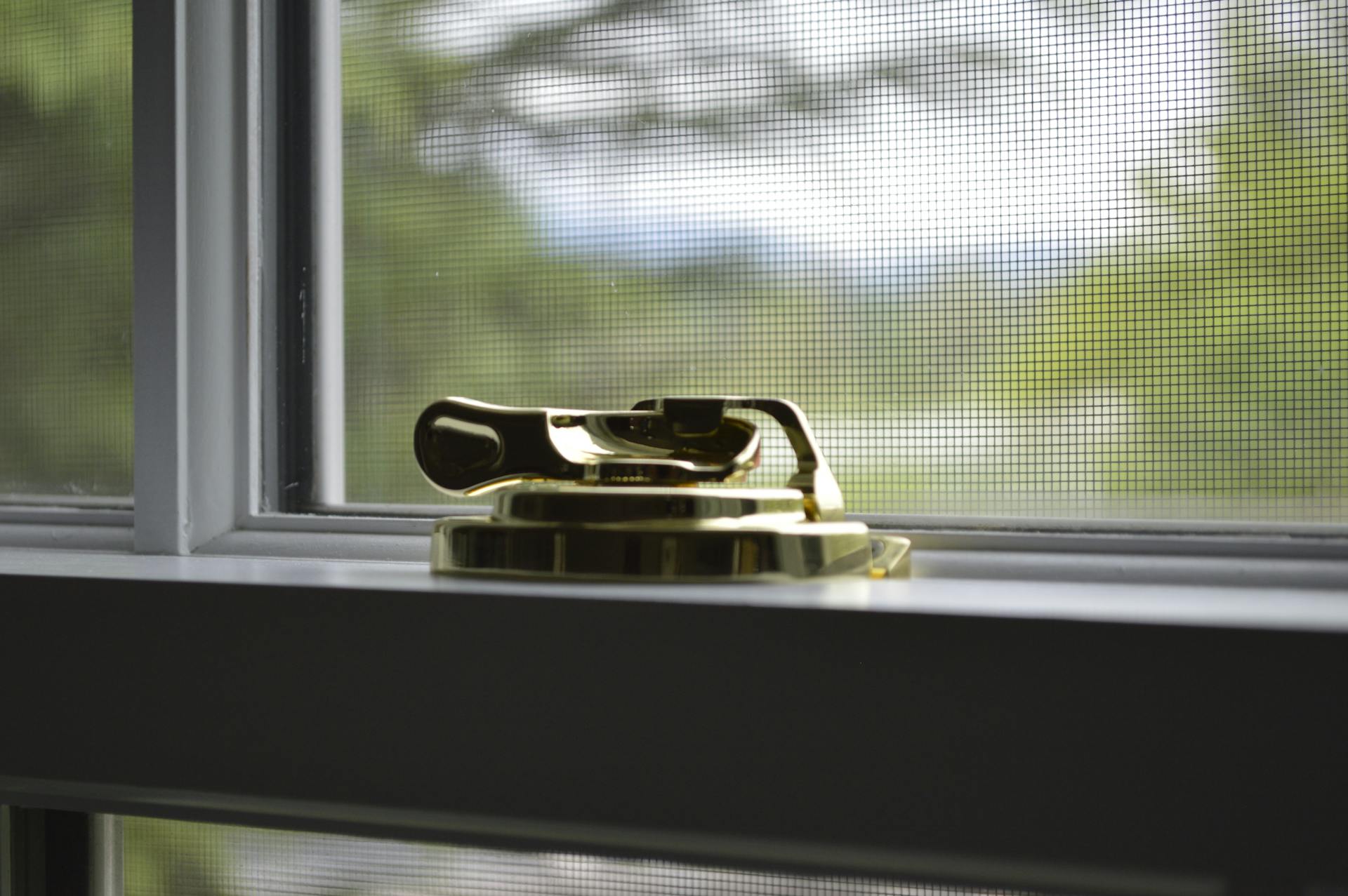 Pexels-Ulov-516847