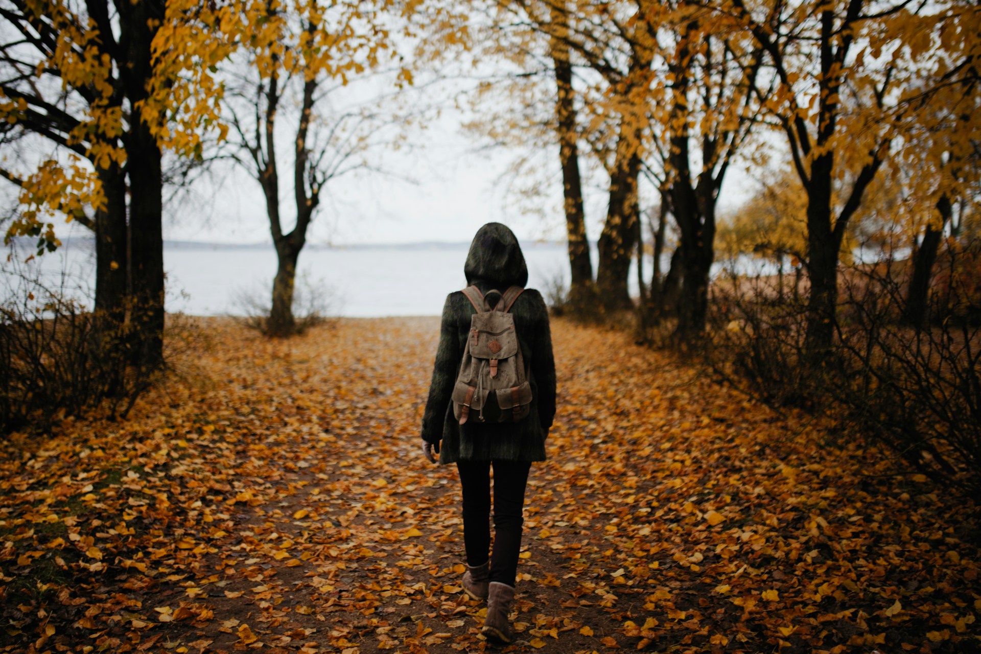 Dmitry-Schemelev-Slp-Kpzatlc-Unsplash