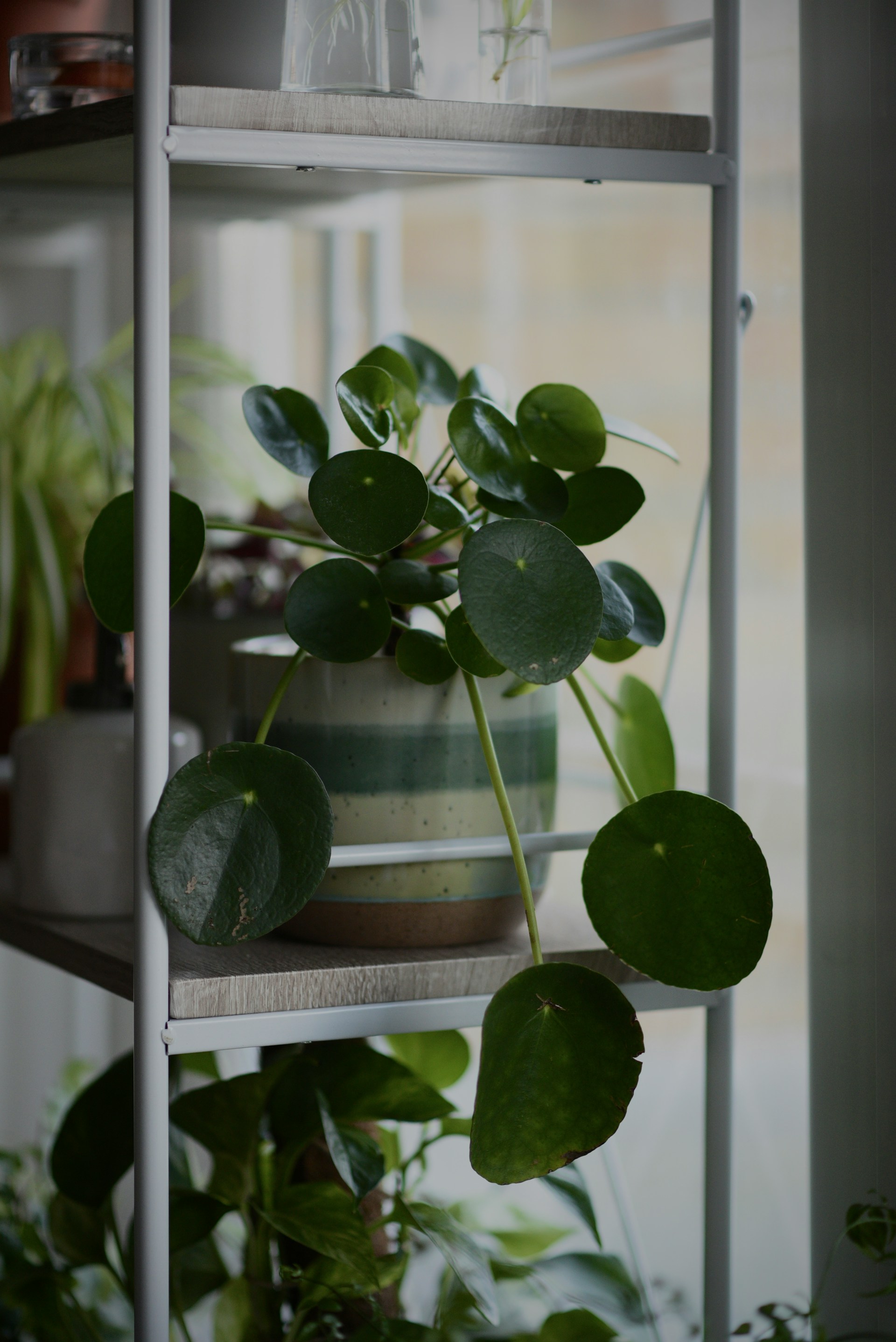 Elly-Endeavours-I0Vd6Dpki6W-Unsplash