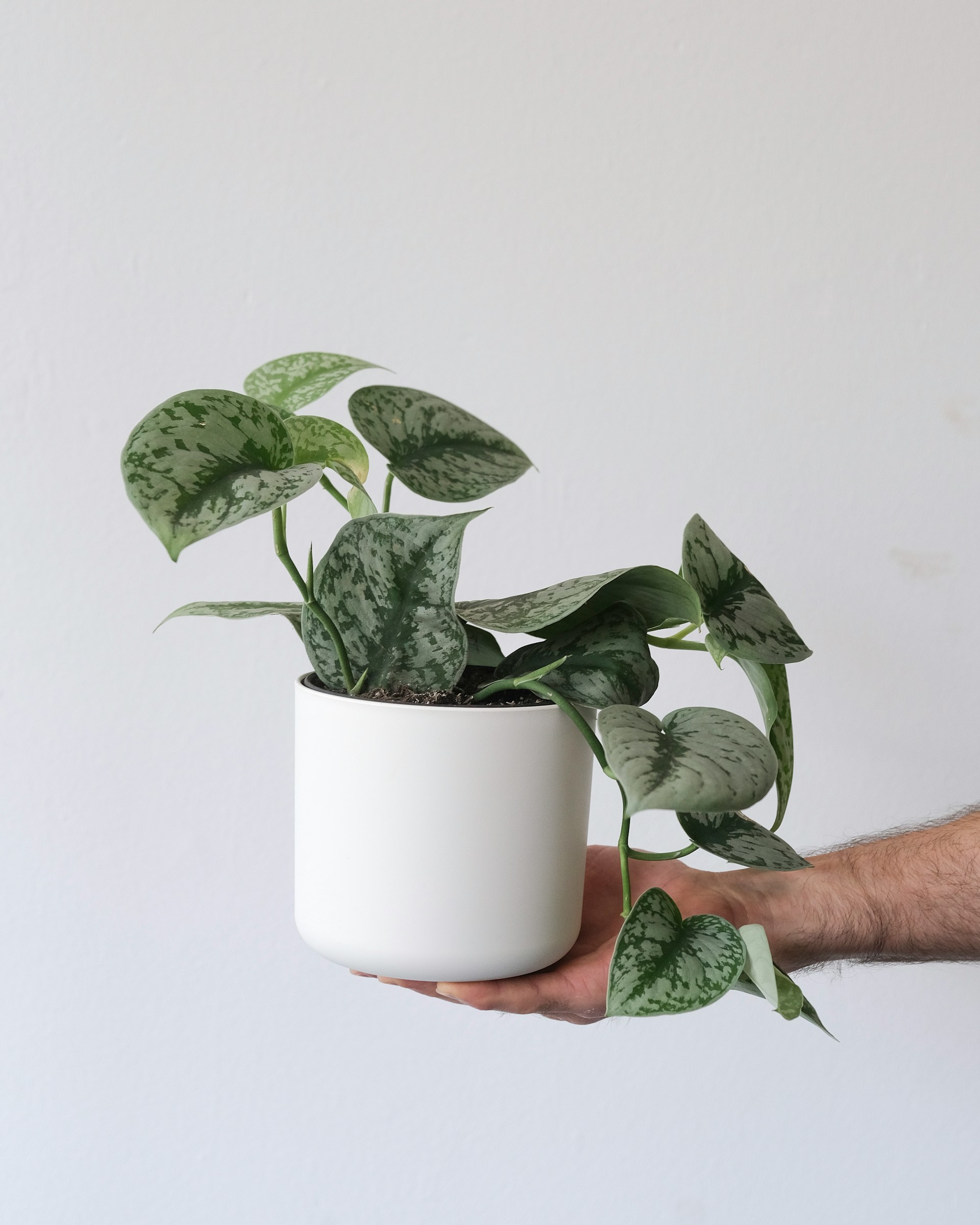Feey-Shjvvn2X7F0-Unsplash