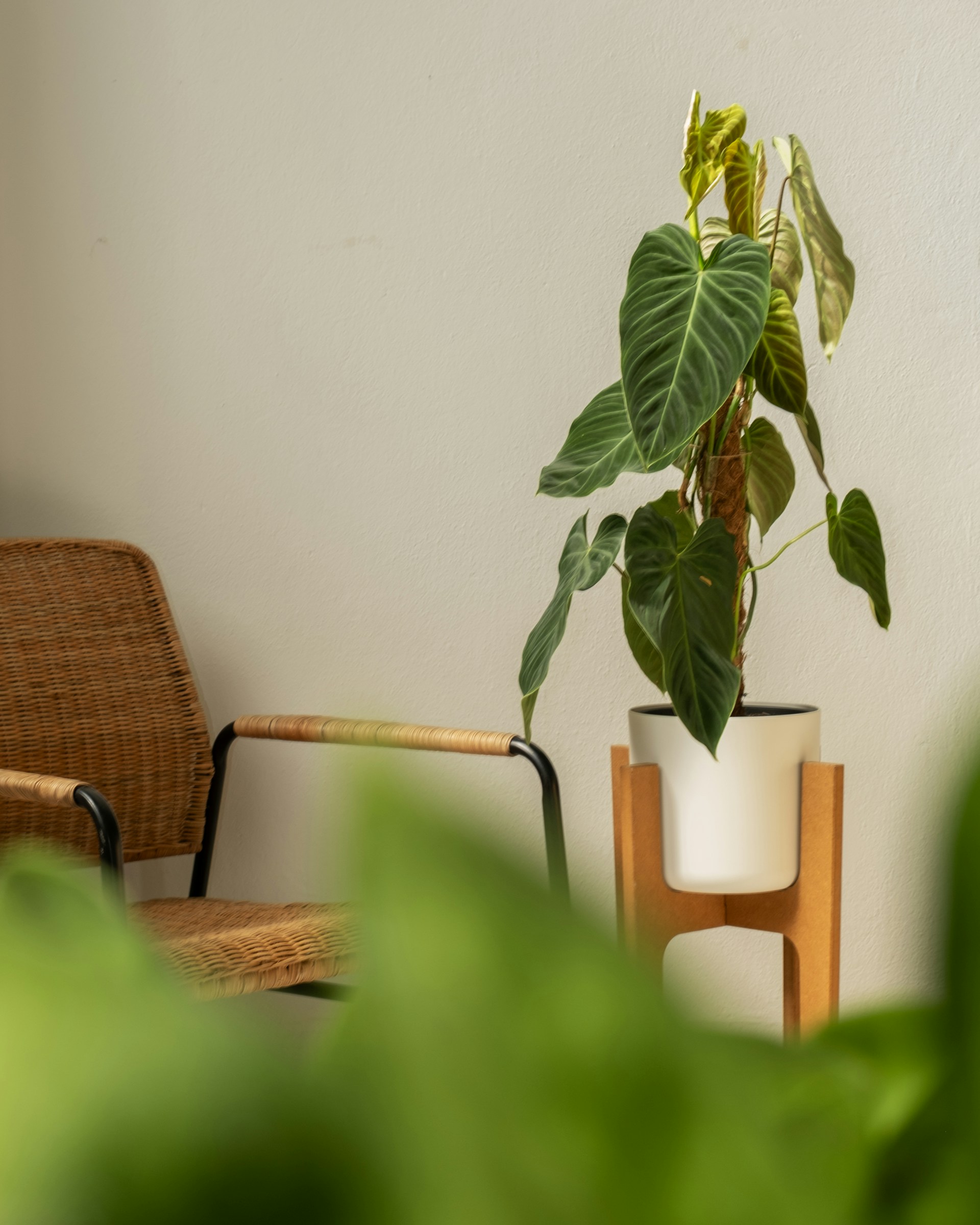 Feey-Uefnxyk1Qmy-Unsplash