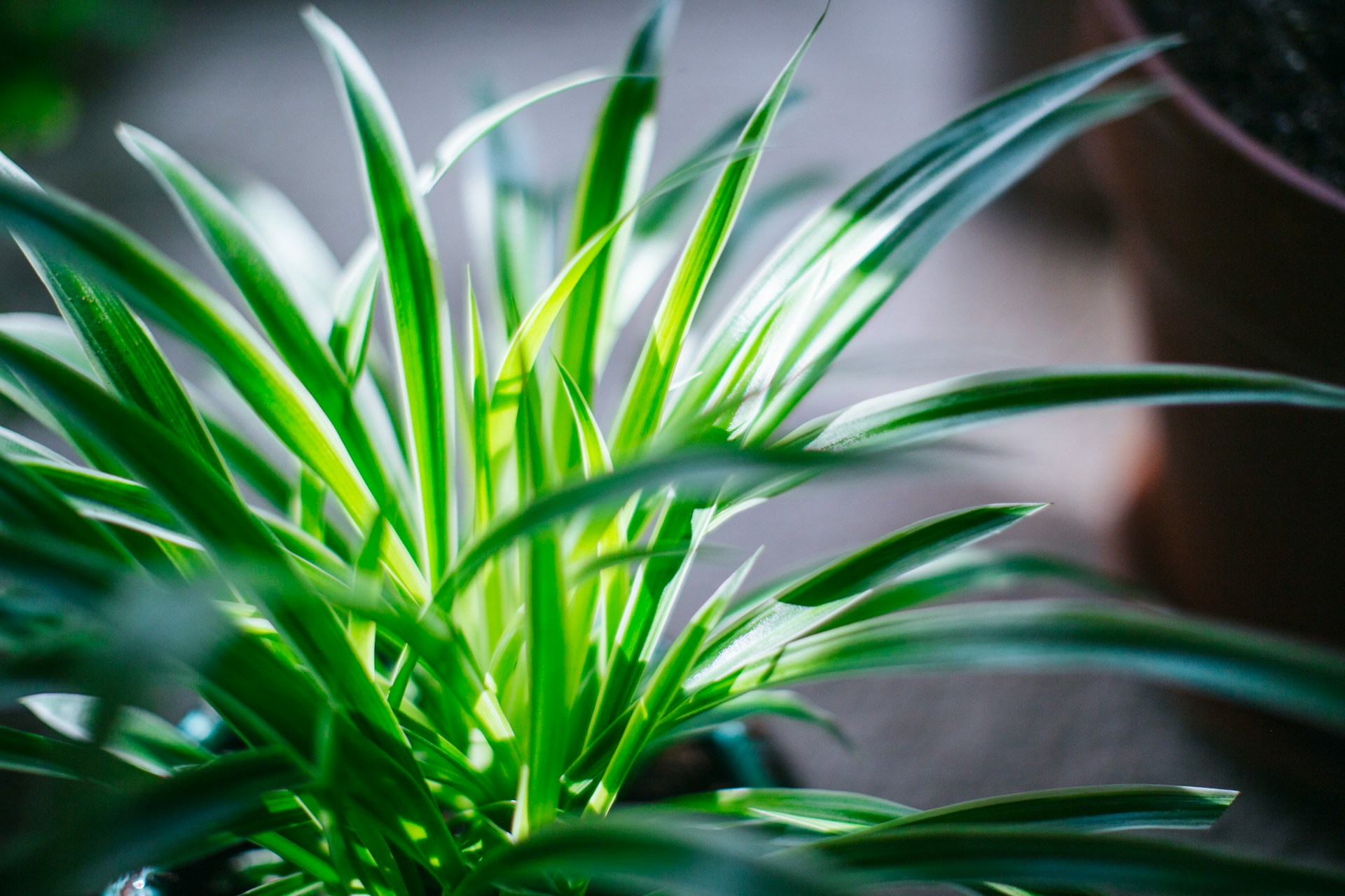 Fukayamamo-9K2Mr61Lg4S-Unsplash