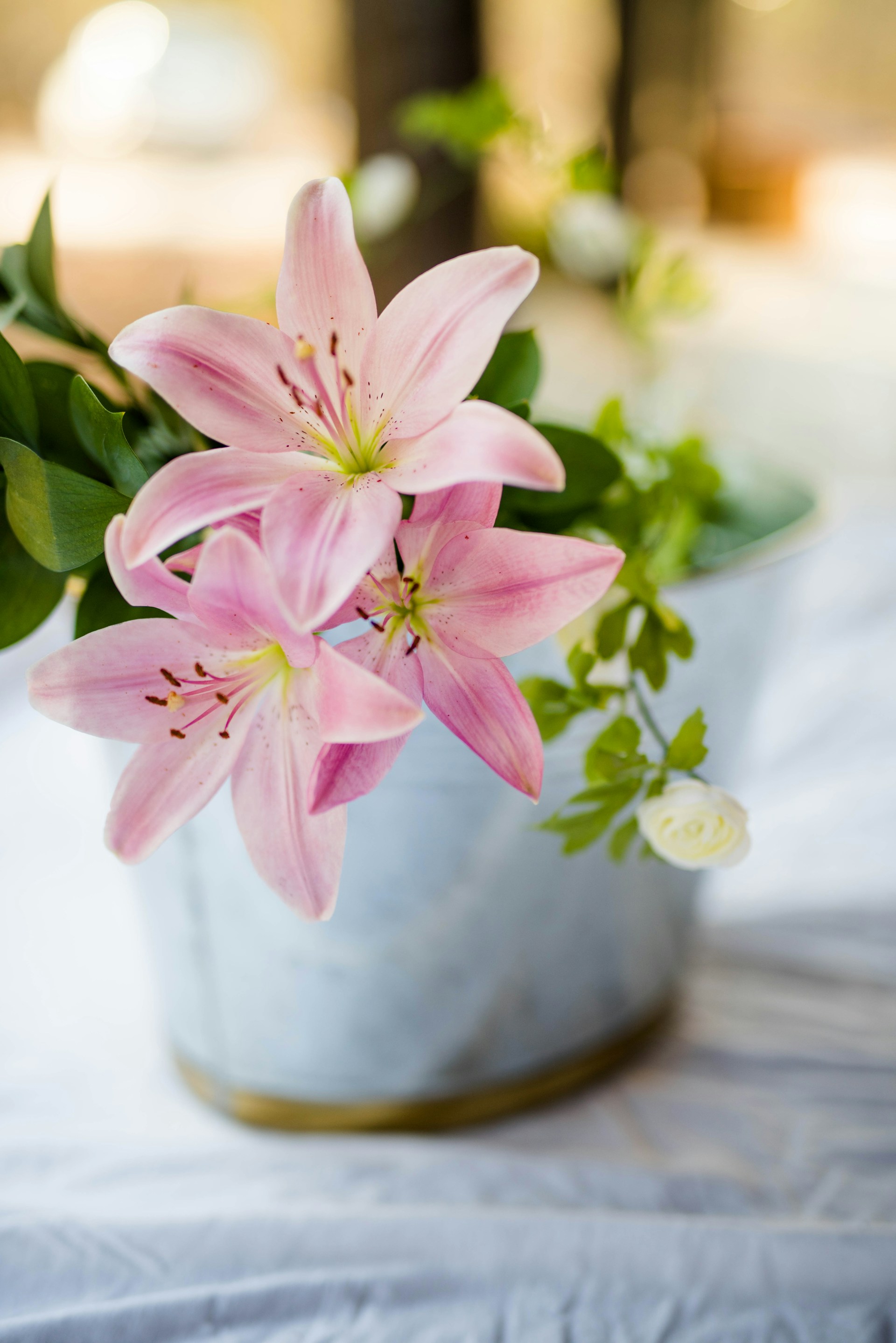 Hannah-Olinger-Cnghajwt5Pk-Unsplash