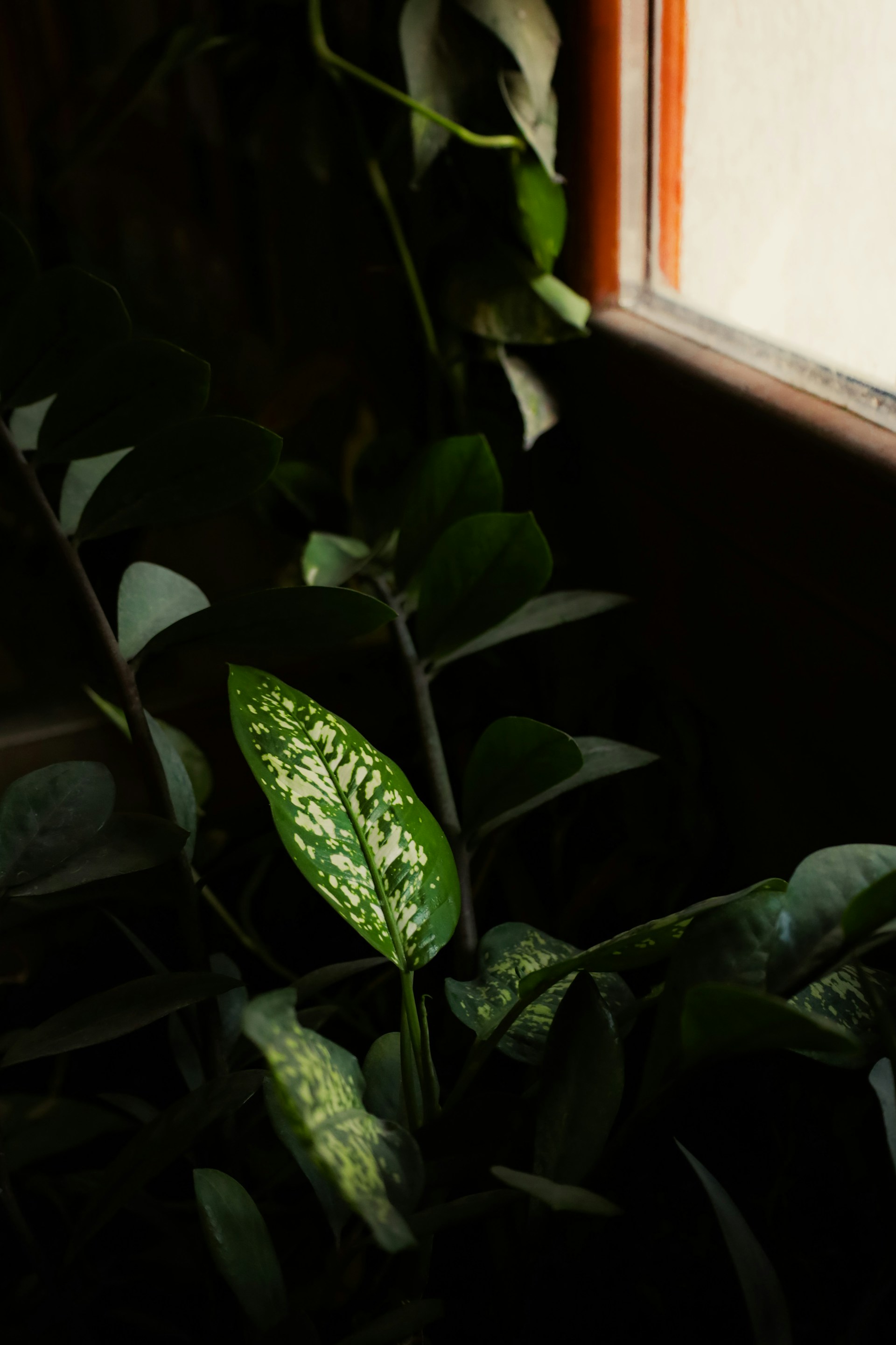 Richard-Stachmann-Sglxlmfsun0-Unsplash
