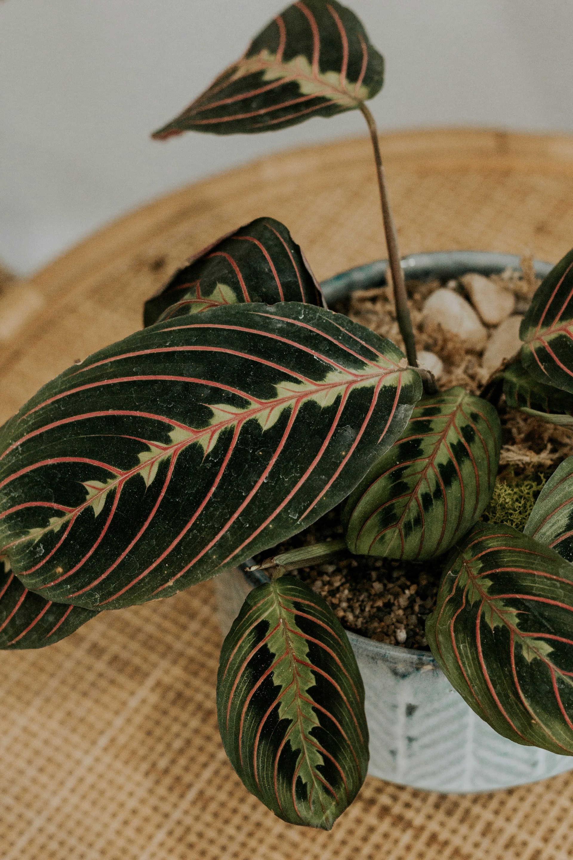 Sun-Studio-Creative-Nw8Lgad3W6A-Unsplash