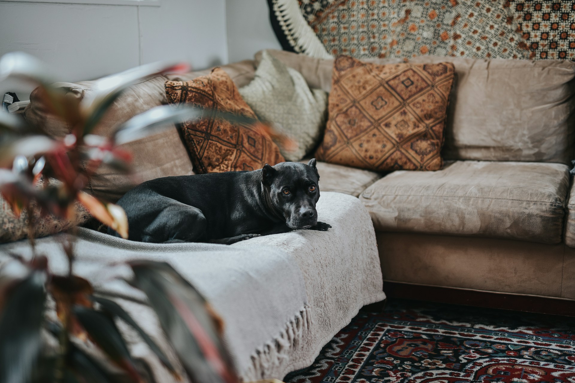 Sandra-Seitamaa-Dts9Hq7T7Ne-Unsplash