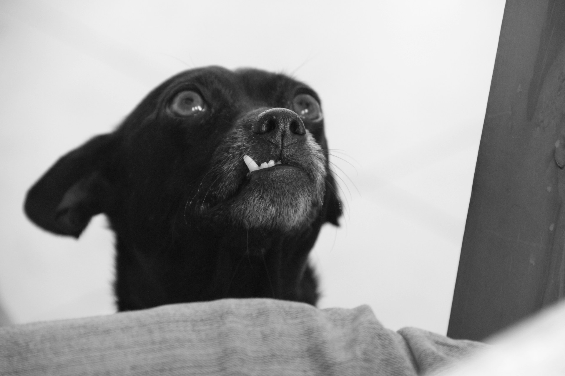 Linda-Mynhardt-Hf2Szqy2Way-Unsplash