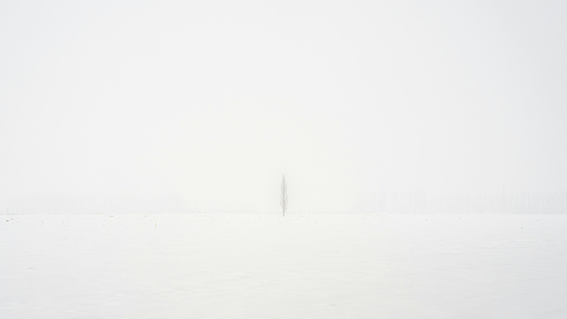 Siyuan-Kecglykcosa-Unsplash