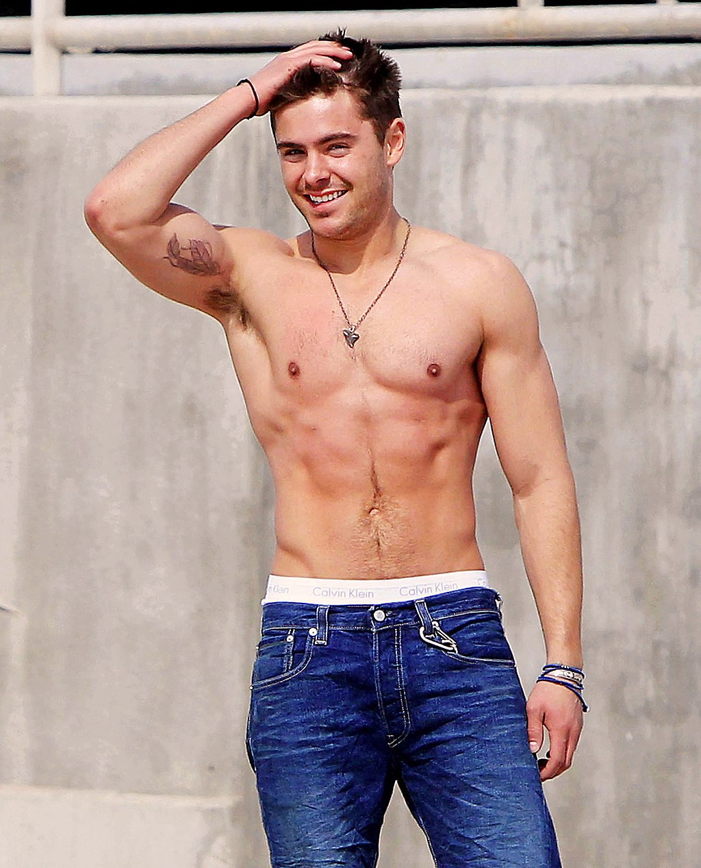 1024Px-Zac Efron Bicep Tatoo