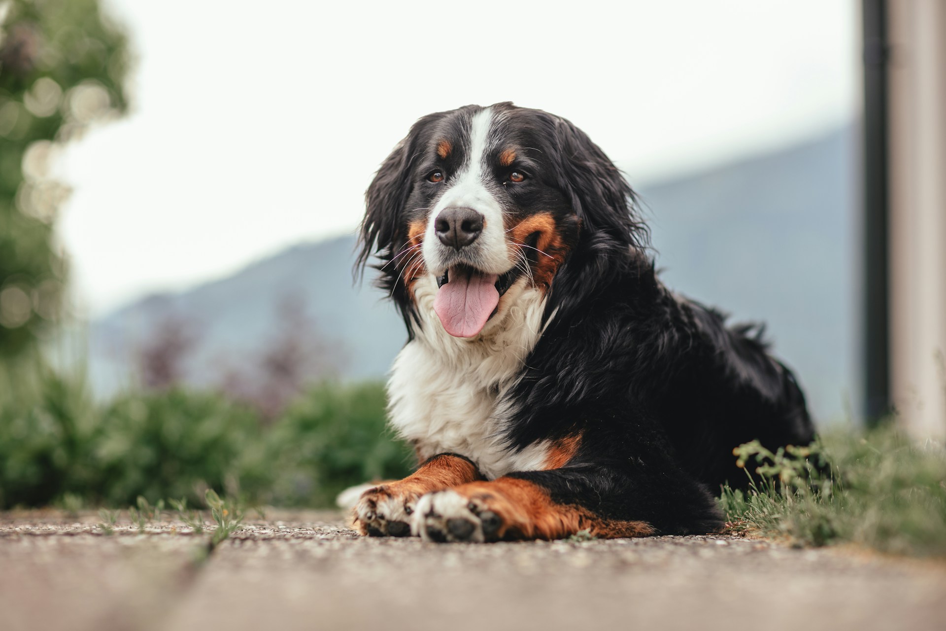 Janosch-Diggelmann-U4Zpks9Vagy-Unsplash