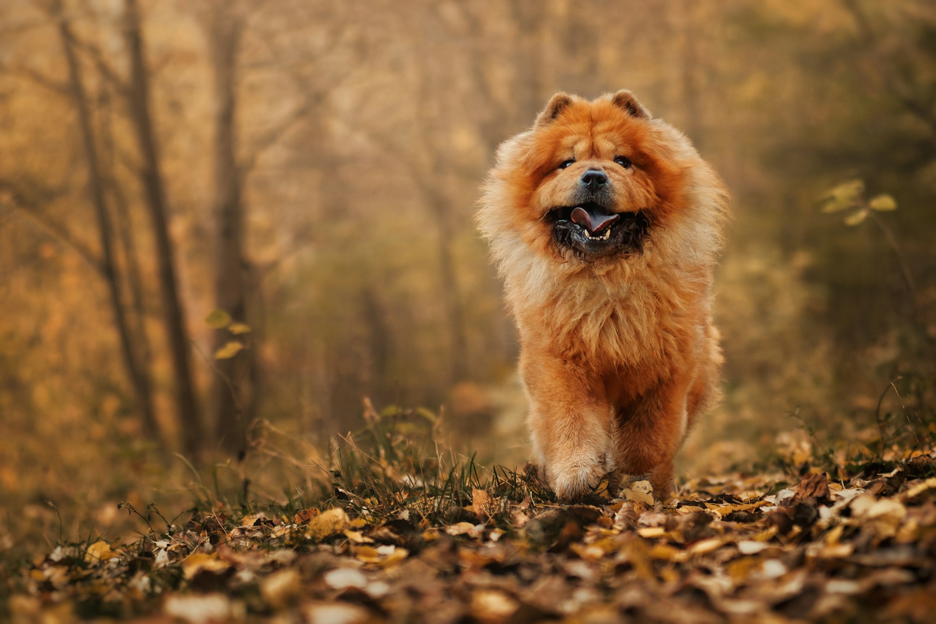 Lukasz-Rawa-Ewgg1Xwhig4-Unsplash