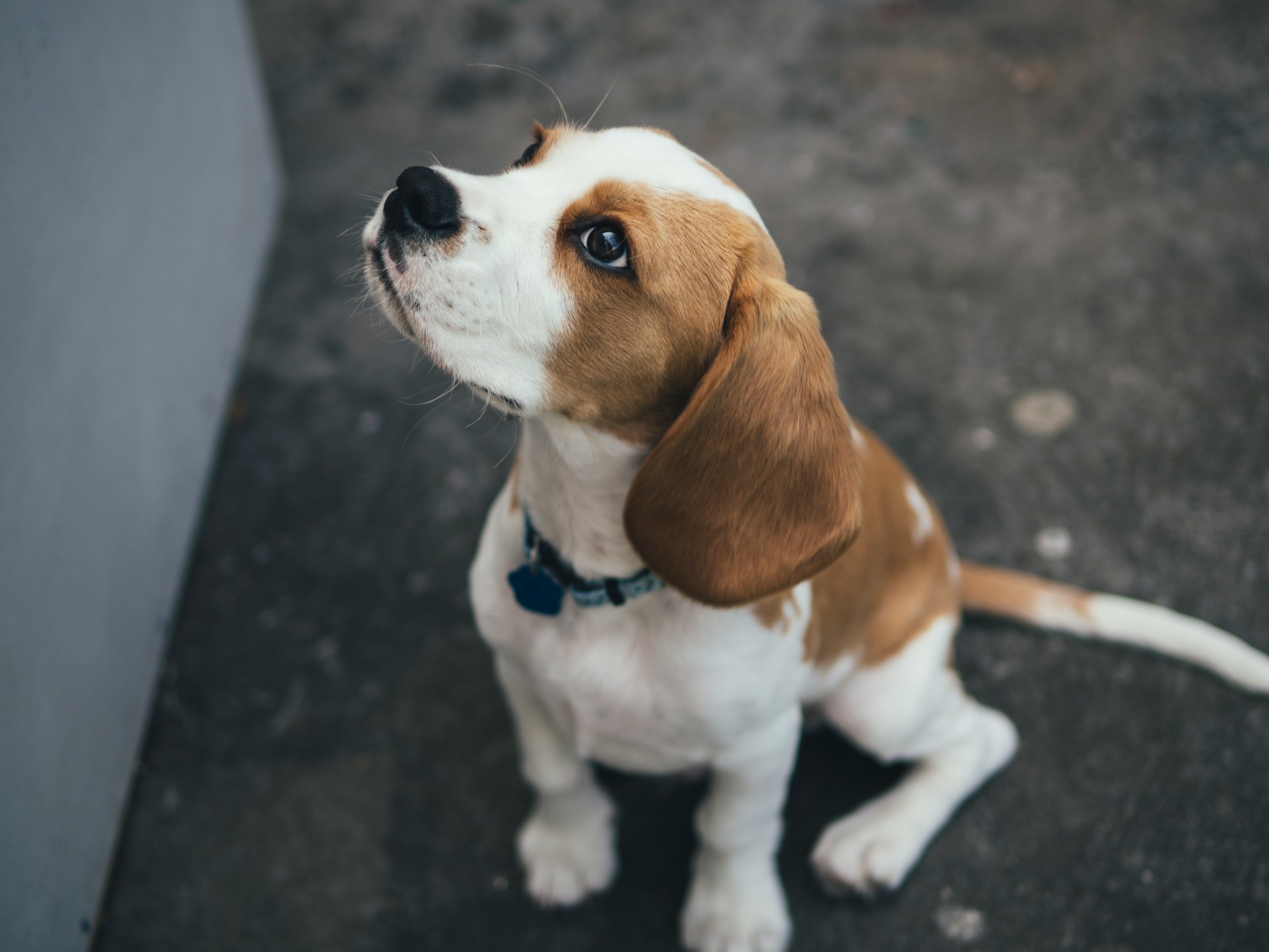 Marcus-Wallis-4Zfactkyz7W-Unsplash