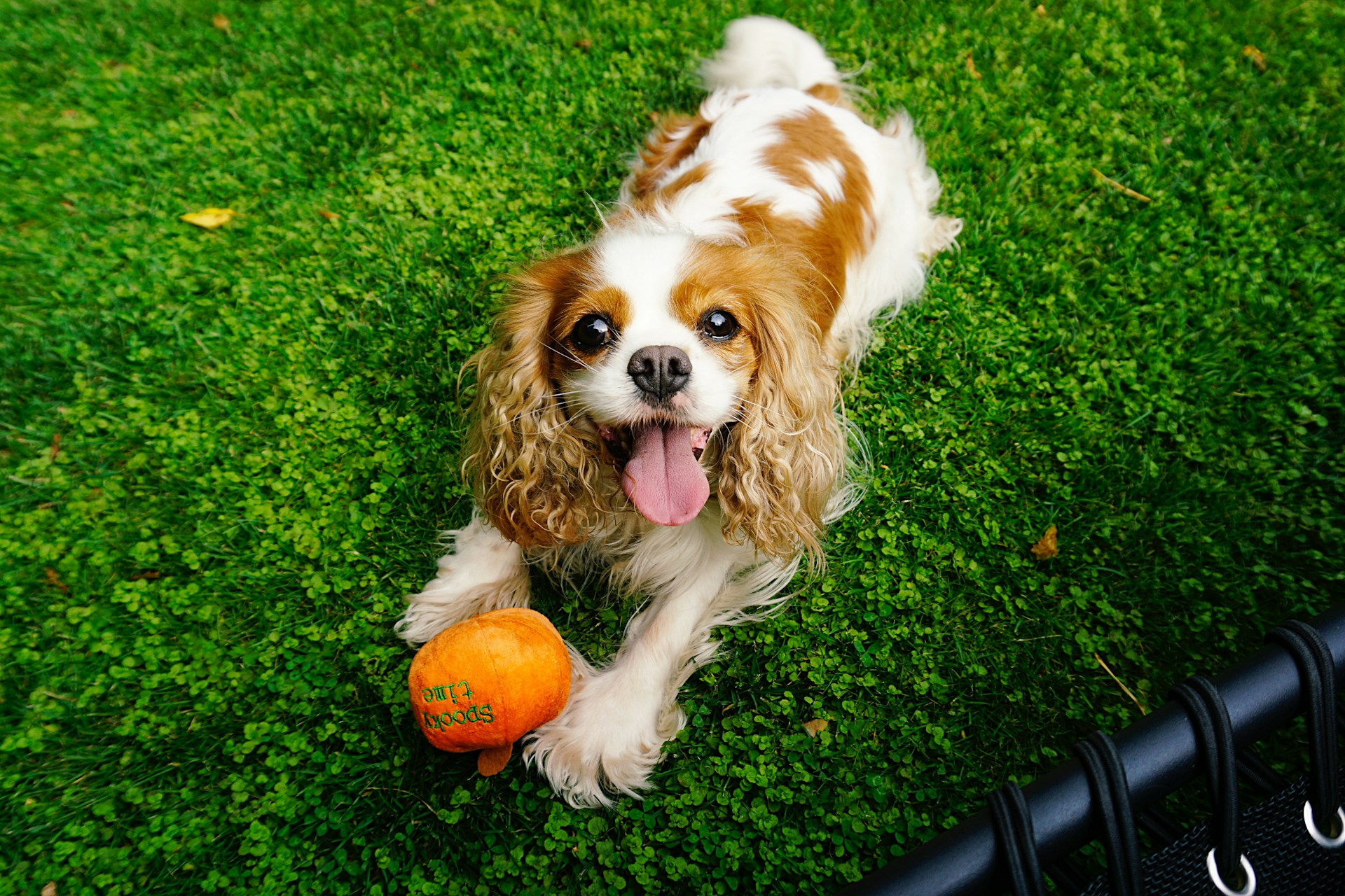 Ralf-Sauter-77-U-Fubft4-Unsplash