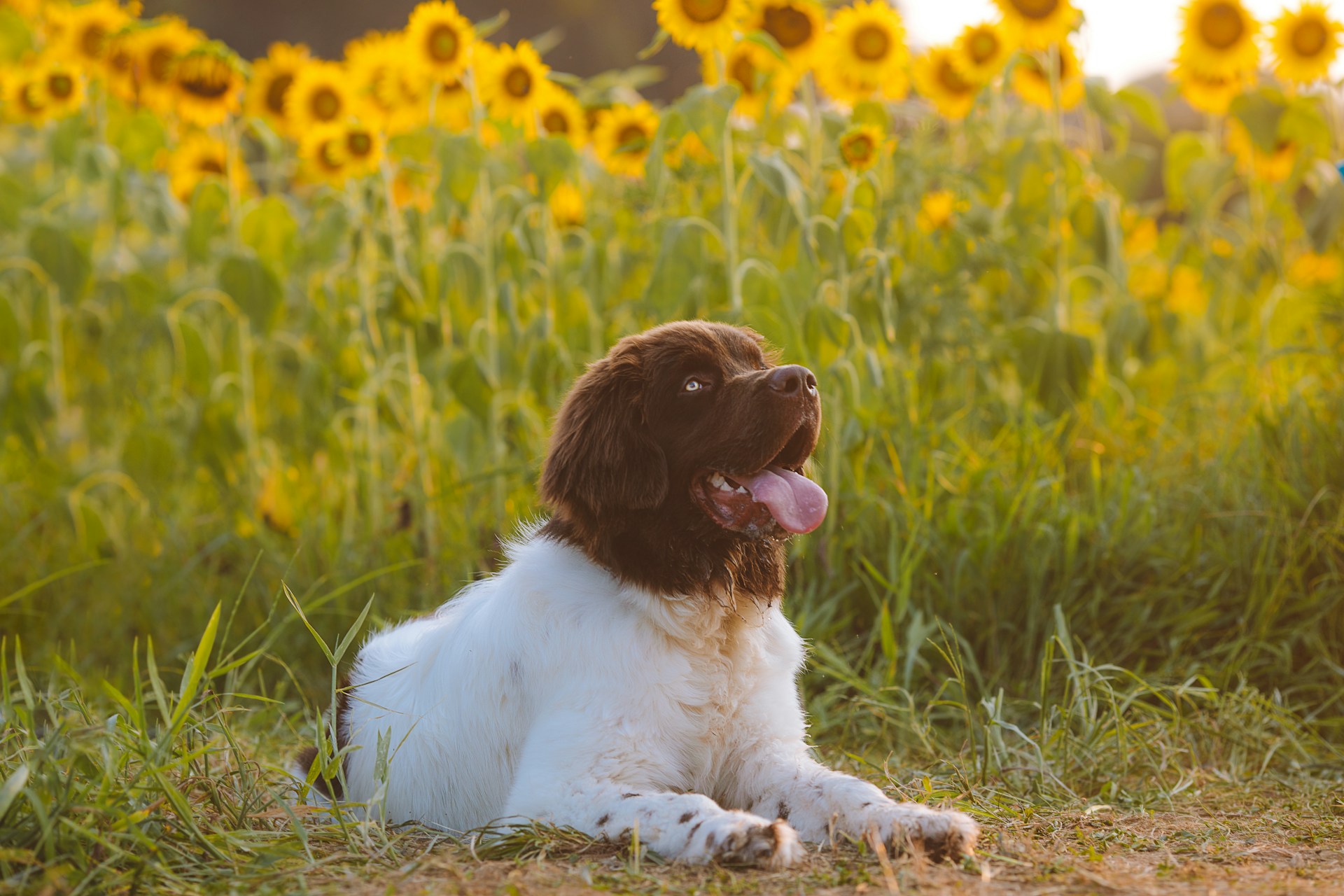 Reba-Spike-Nxro6Ppbo5G-Unsplash