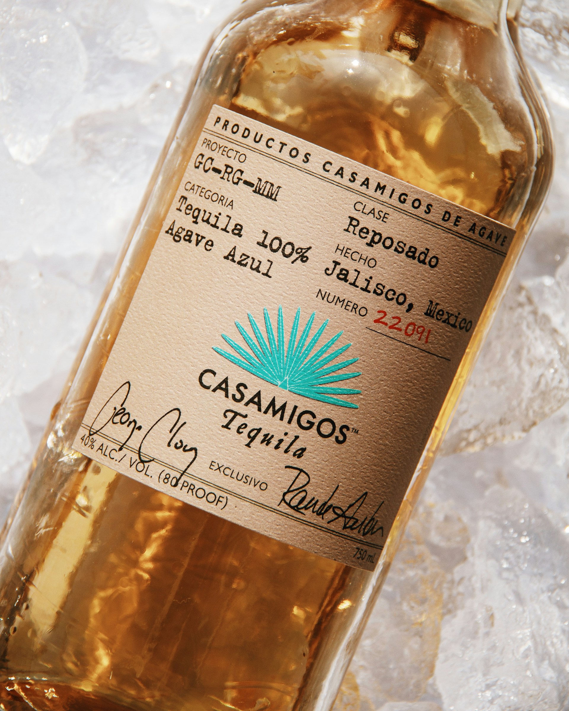 The-847-Collective-Jc4R D2Uzye-Unsplash