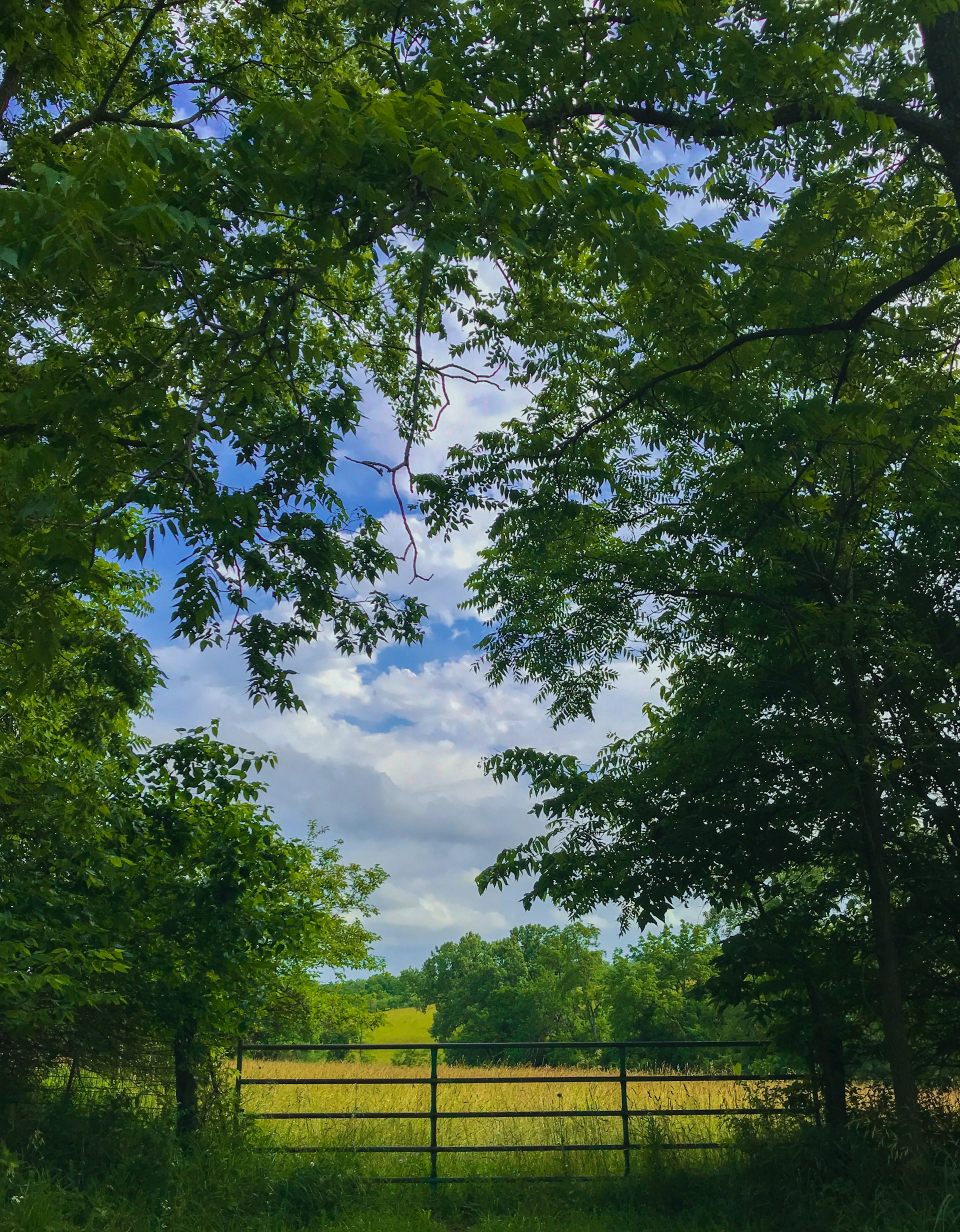 Everett-Bartels-Fbvskjlt1Dm-Unsplash