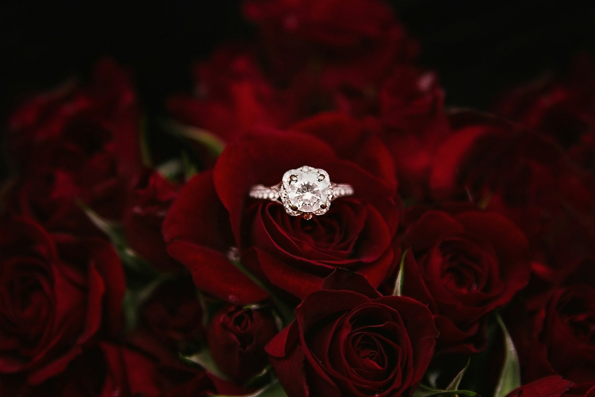 Esther-Tuttle-0U-Dxovbs2E-Unsplash